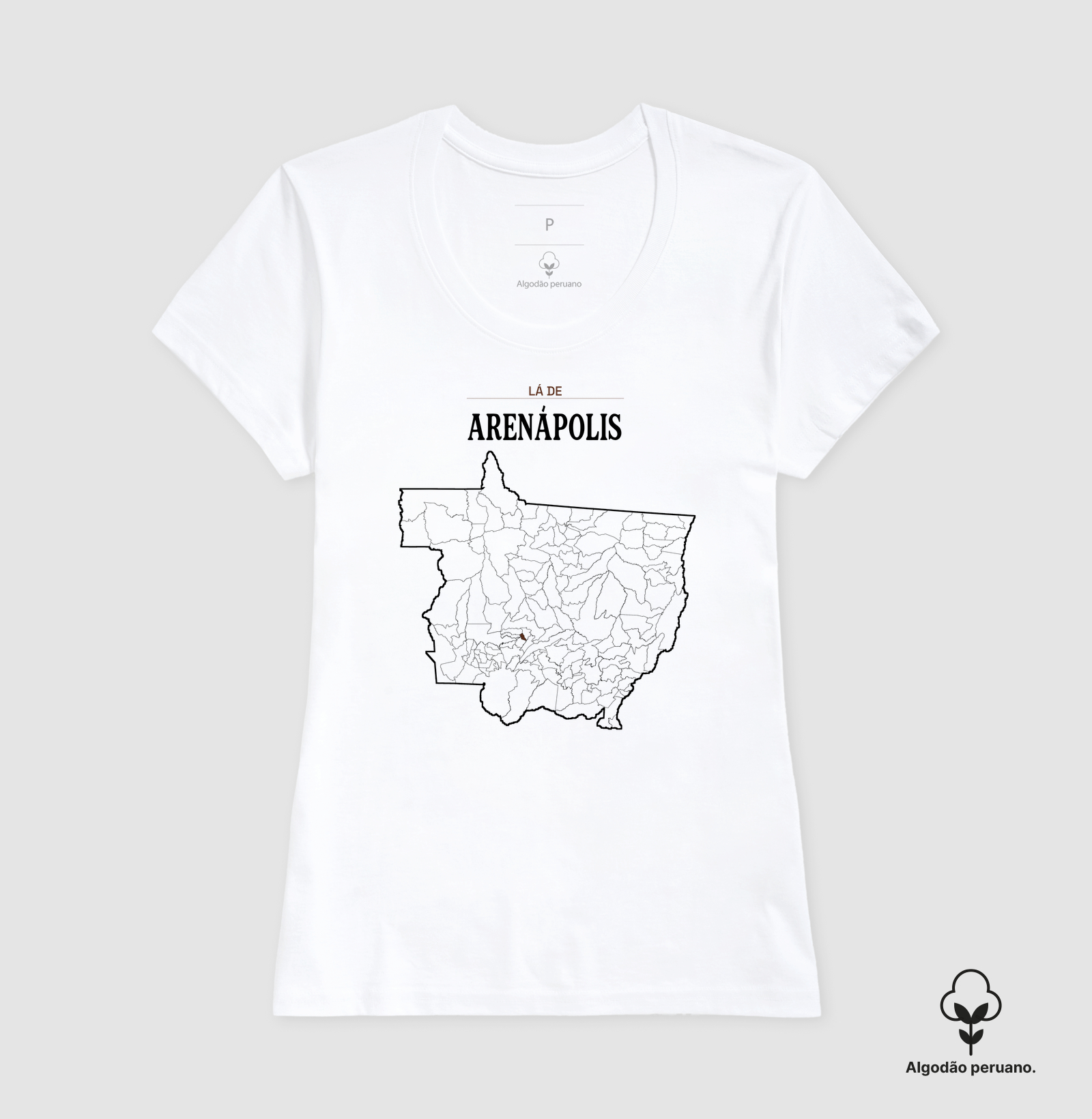 Arenápolis | Território MT - Imagem 4
