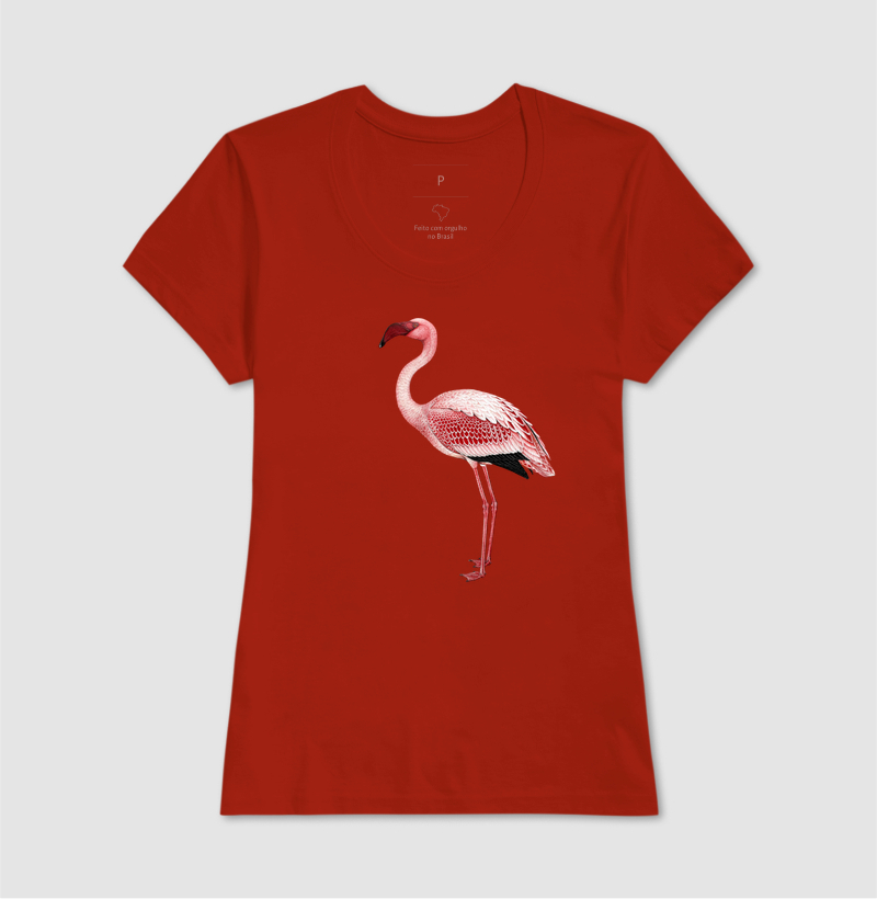 Flamingo - Imagem 11