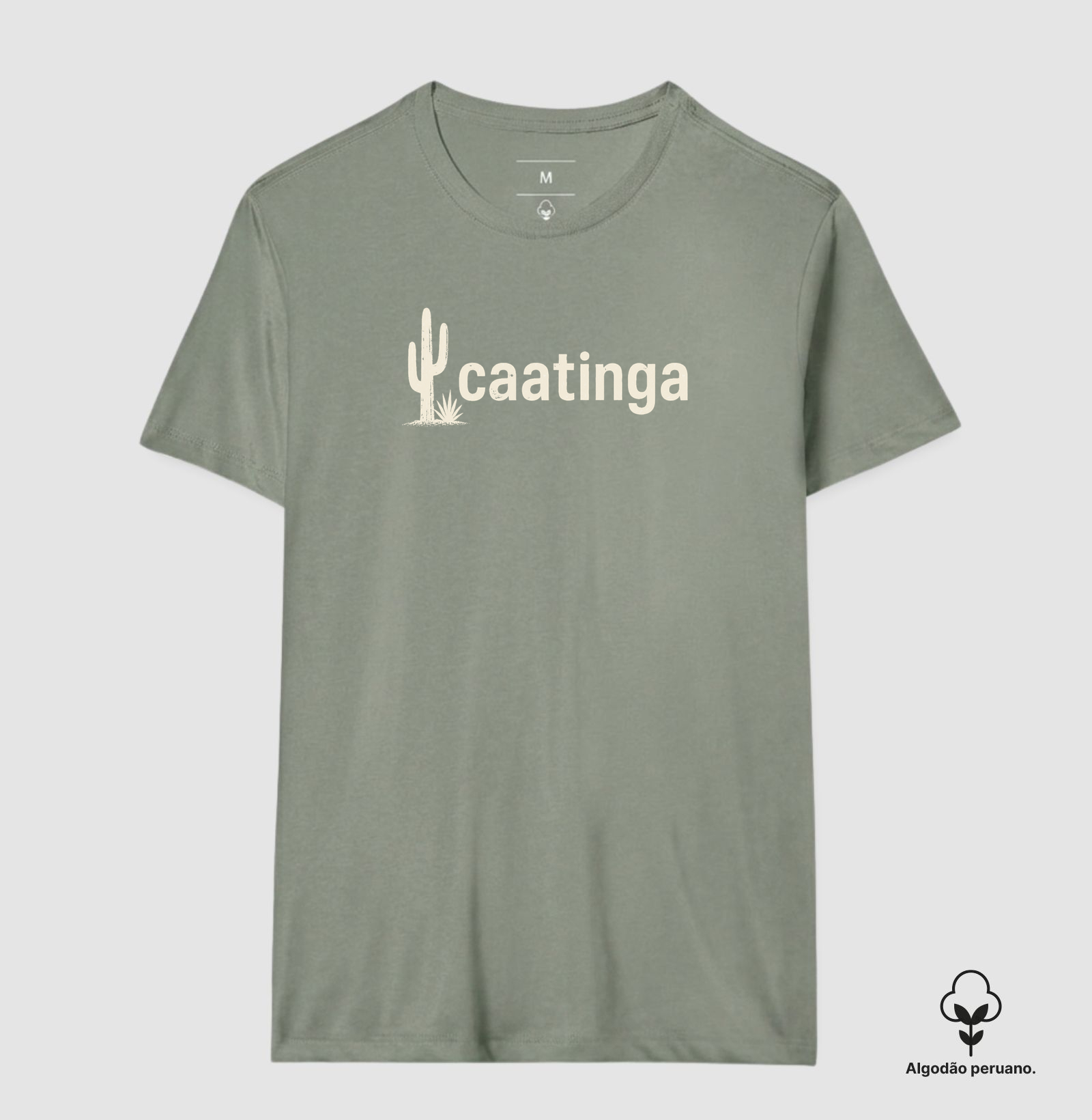 Caatinga - Imagem 8
