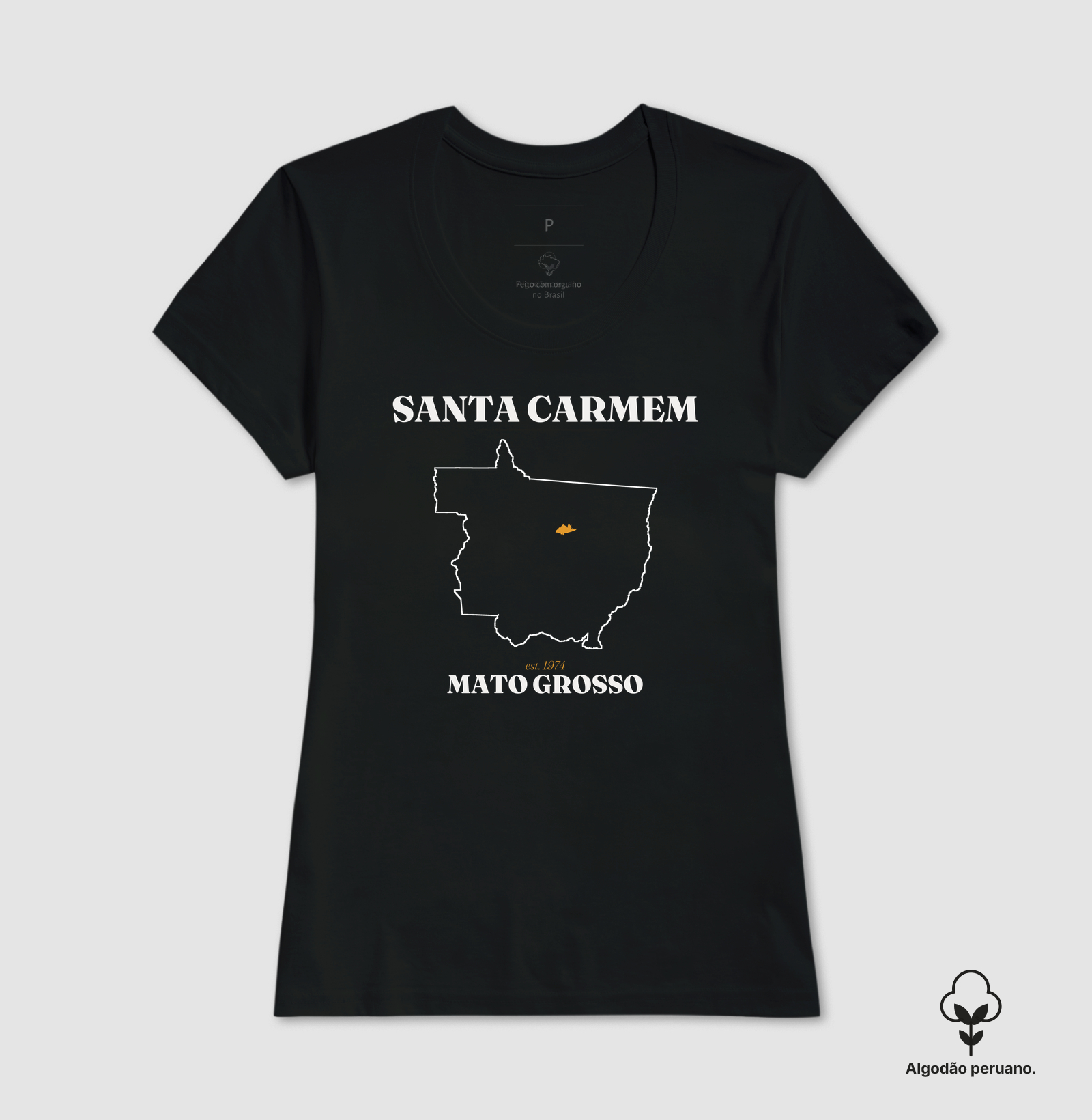 Santa Carmem | Legado MT - Imagem 3