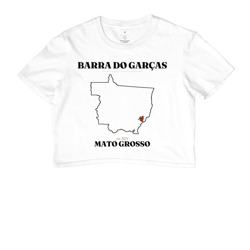 Barra do Garças | Legado MT - Imagem 3