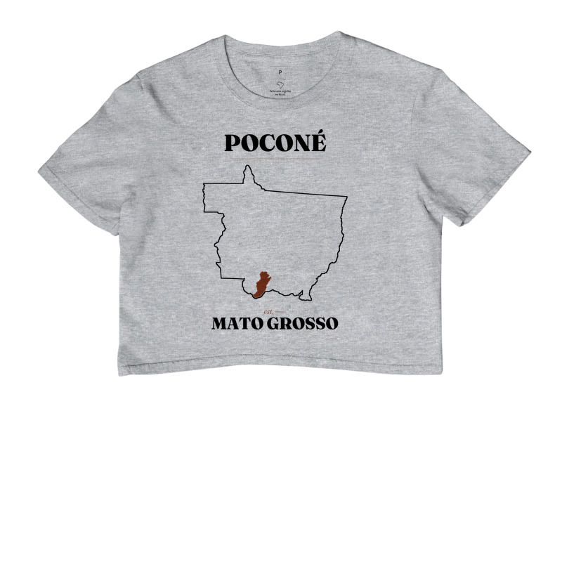 Poconé | Legado MT - Imagem 6