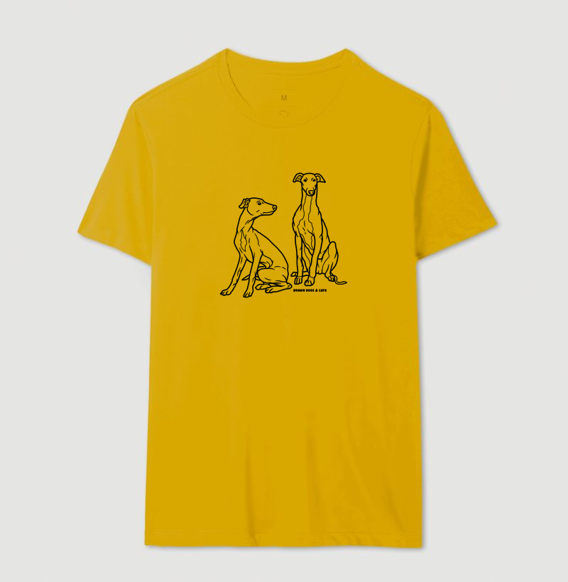 Galgo italiano - Imagem 6