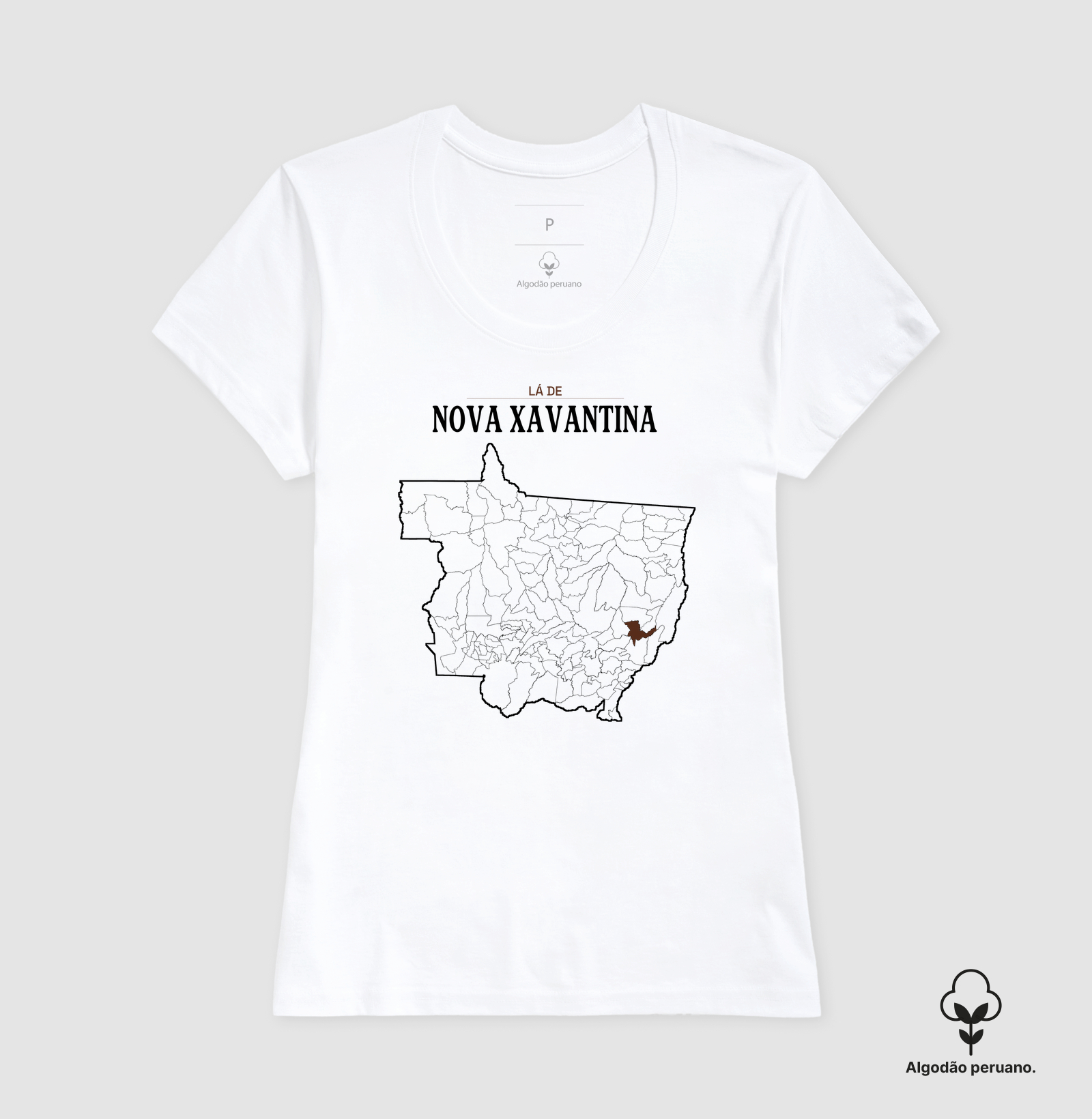 Nova Xavantina | Território MT - Imagem 3