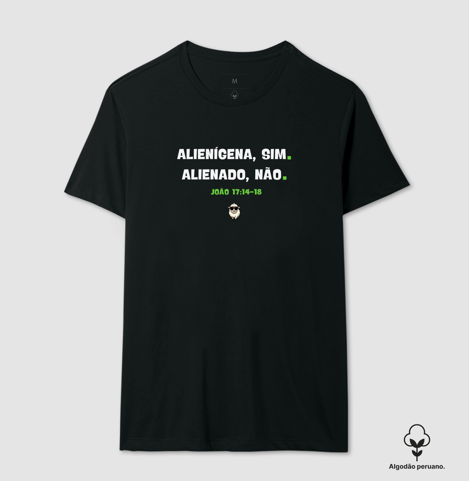 ALIENÍGENA SIM, ALIENADO NÃO - Imagem 2