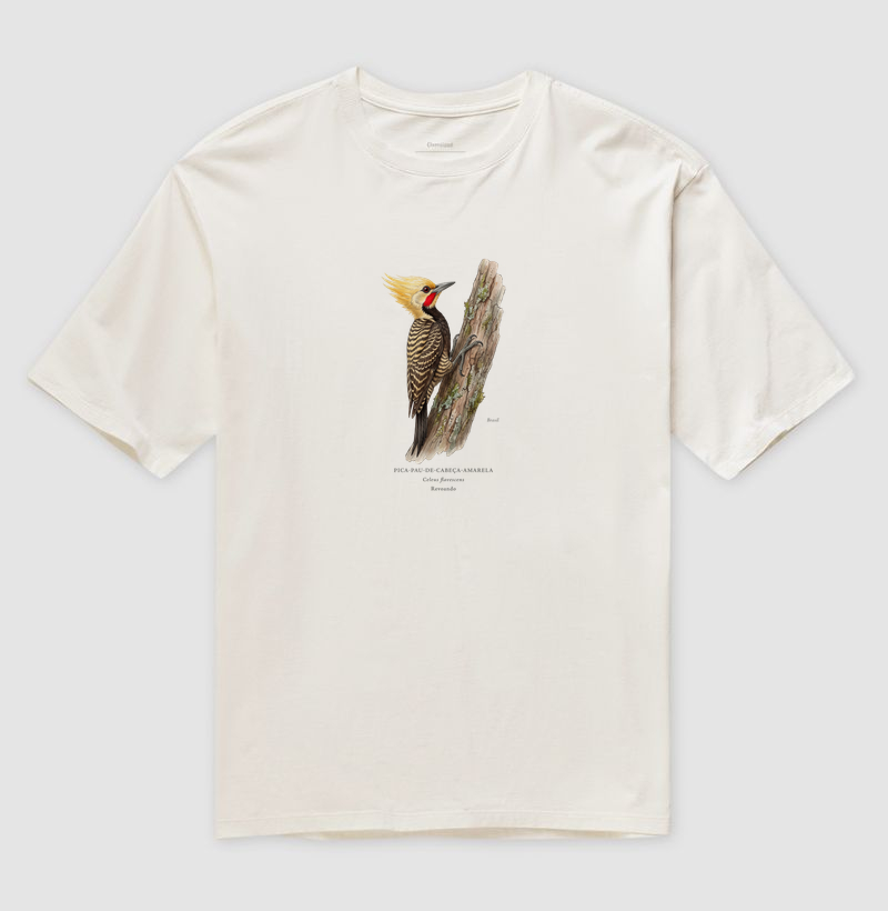 Naturalistas - Pica-pau-de-cabeça-amarela - Oversized - Imagem 6