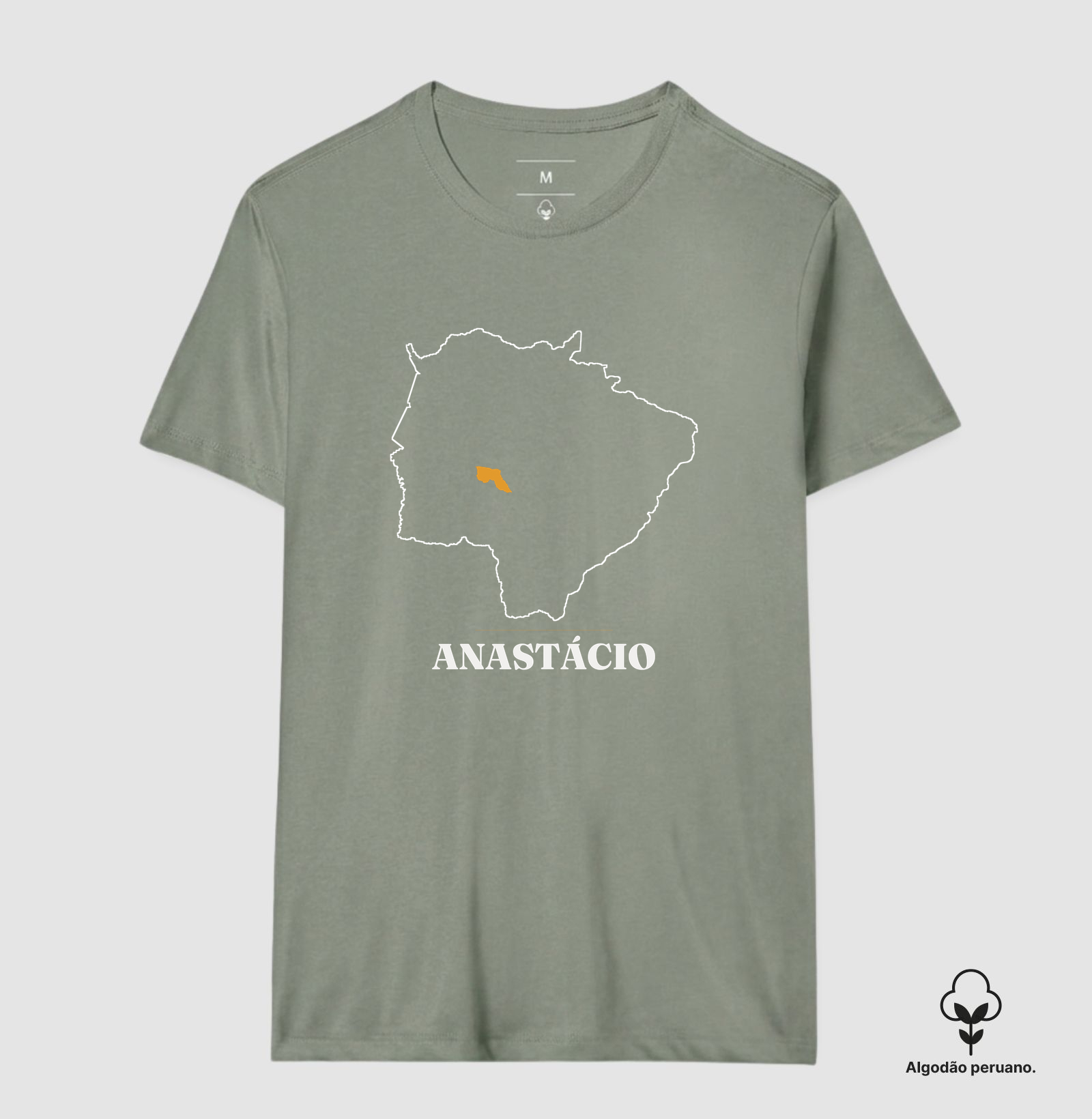 Anastácio | Traço MS - Imagem 8
