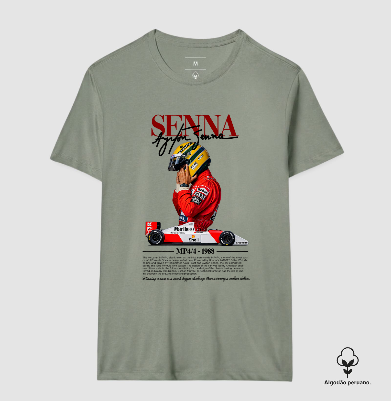 Senna MP4/4 - Imagem 9