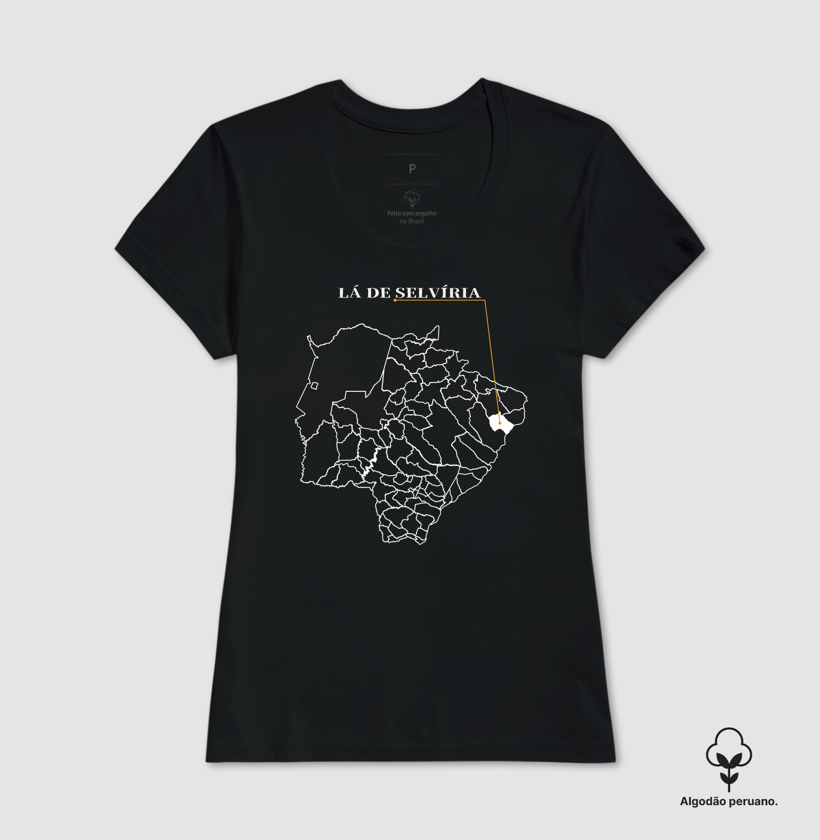 Selvíria | Origem MS - Imagem 2