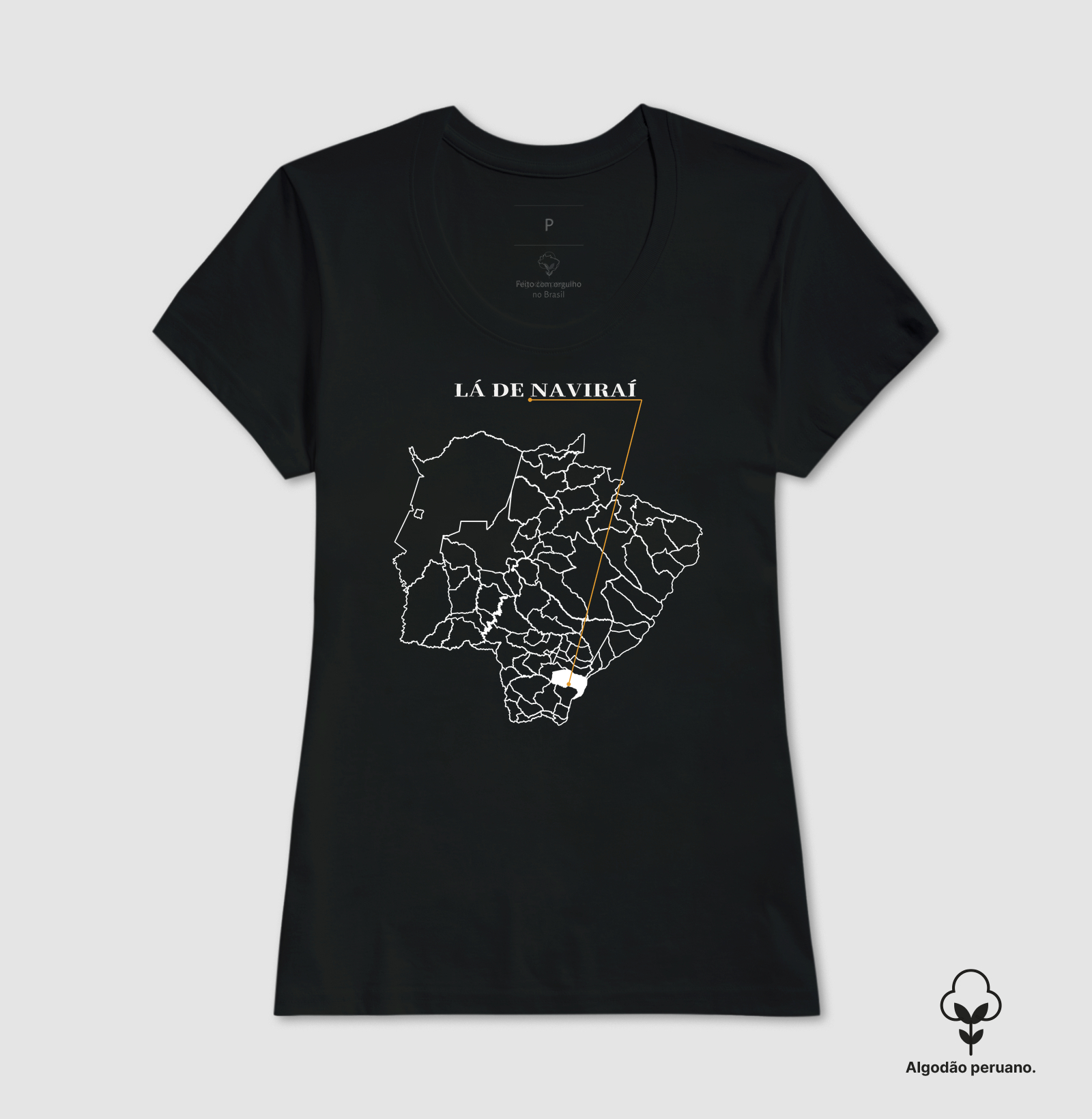 Naviraí | Origem MS - Imagem 9