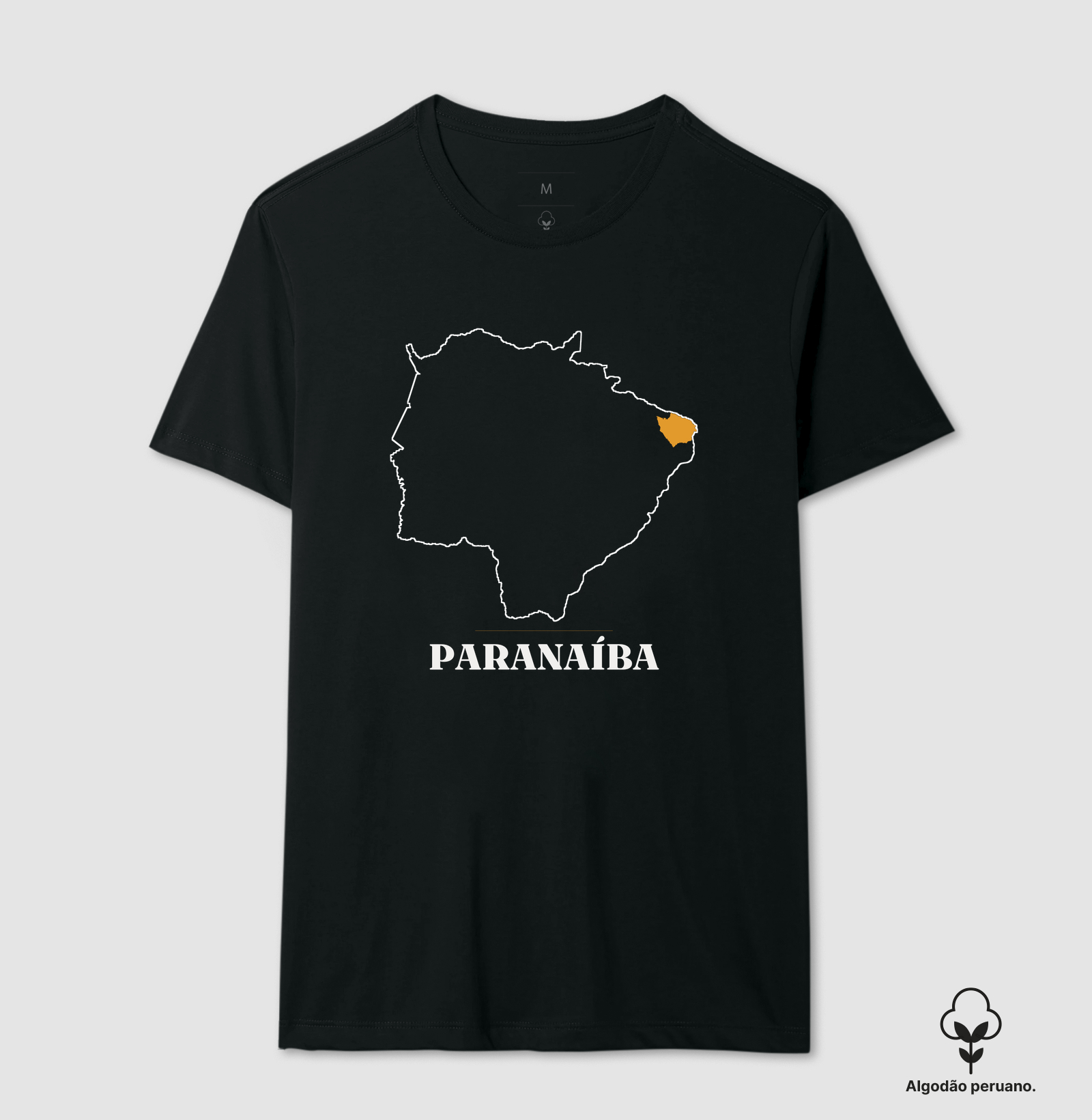 Paranaíba | Traço MS - Imagem 3