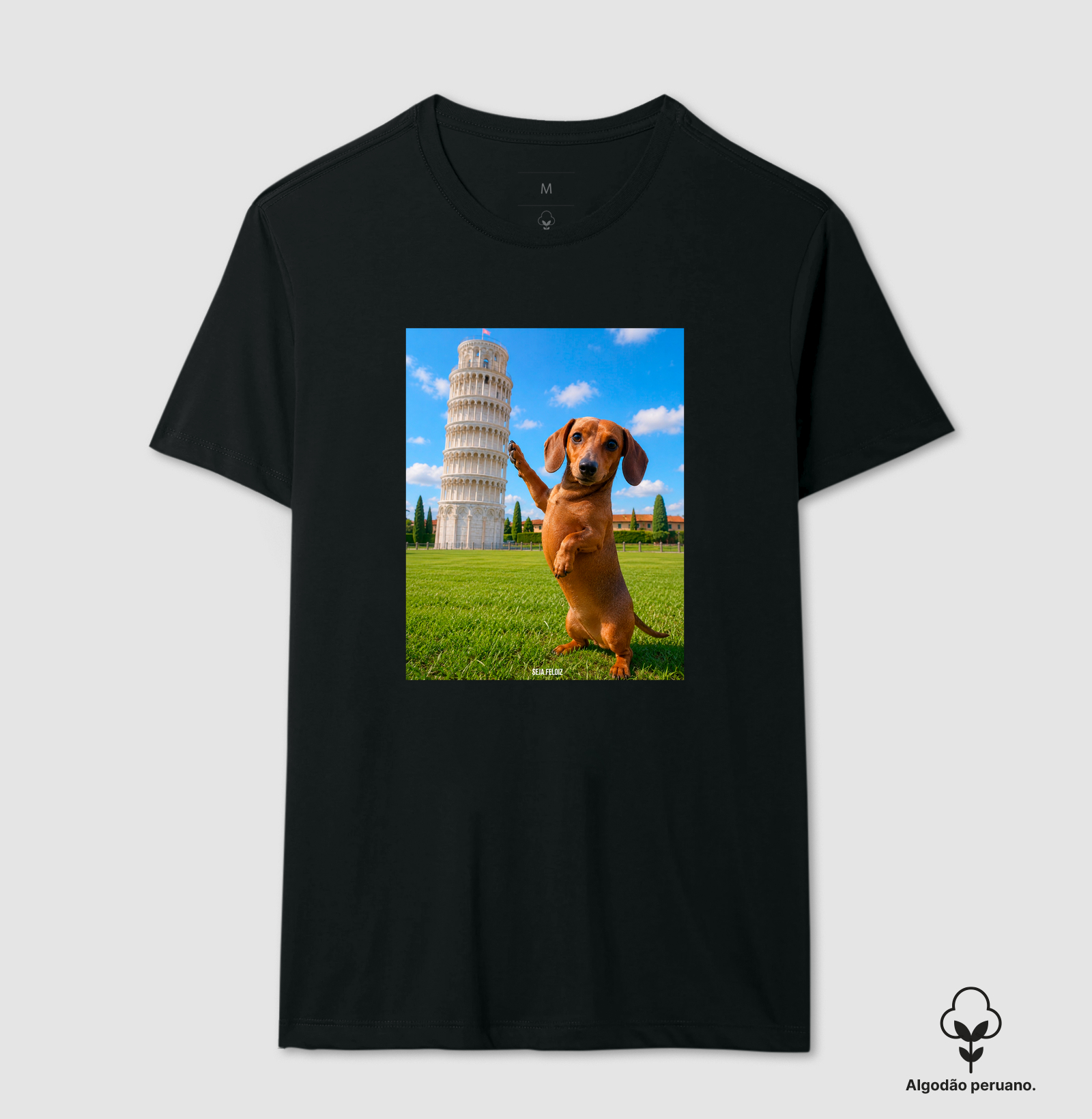 🐾 Salsichito em Pisa - Imagem 7