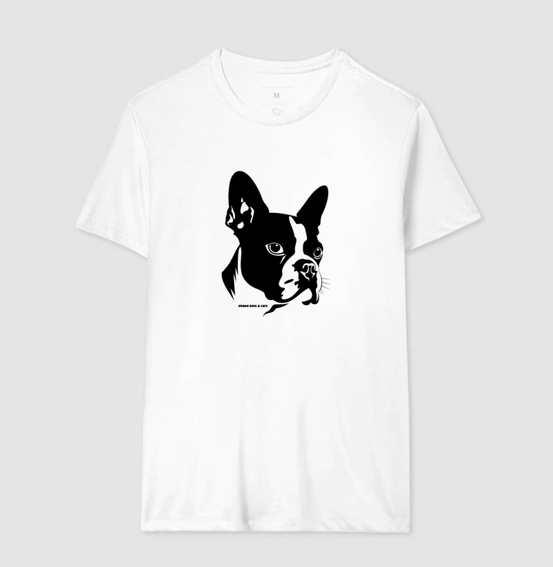 Boston Terrier - Imagem 2