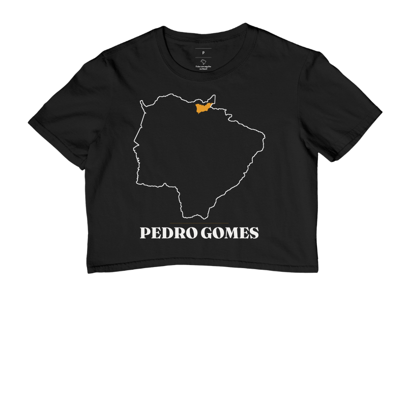 Pedro Gomes | Traço MS - Imagem 2