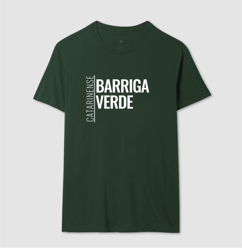 Catarinense — Barriga-Verde - Imagem 12