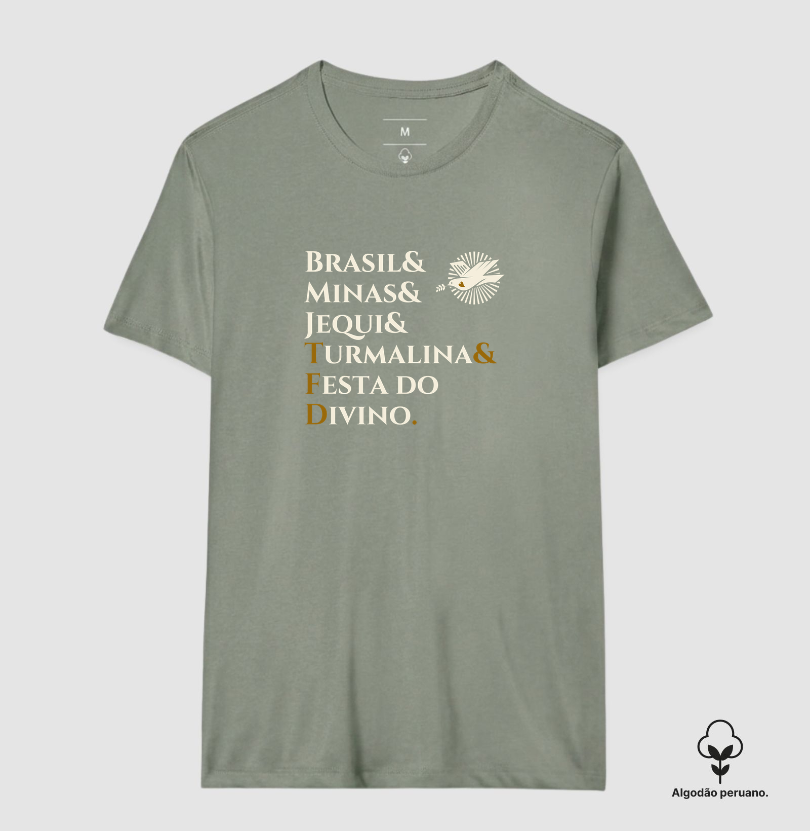 Camisa 1