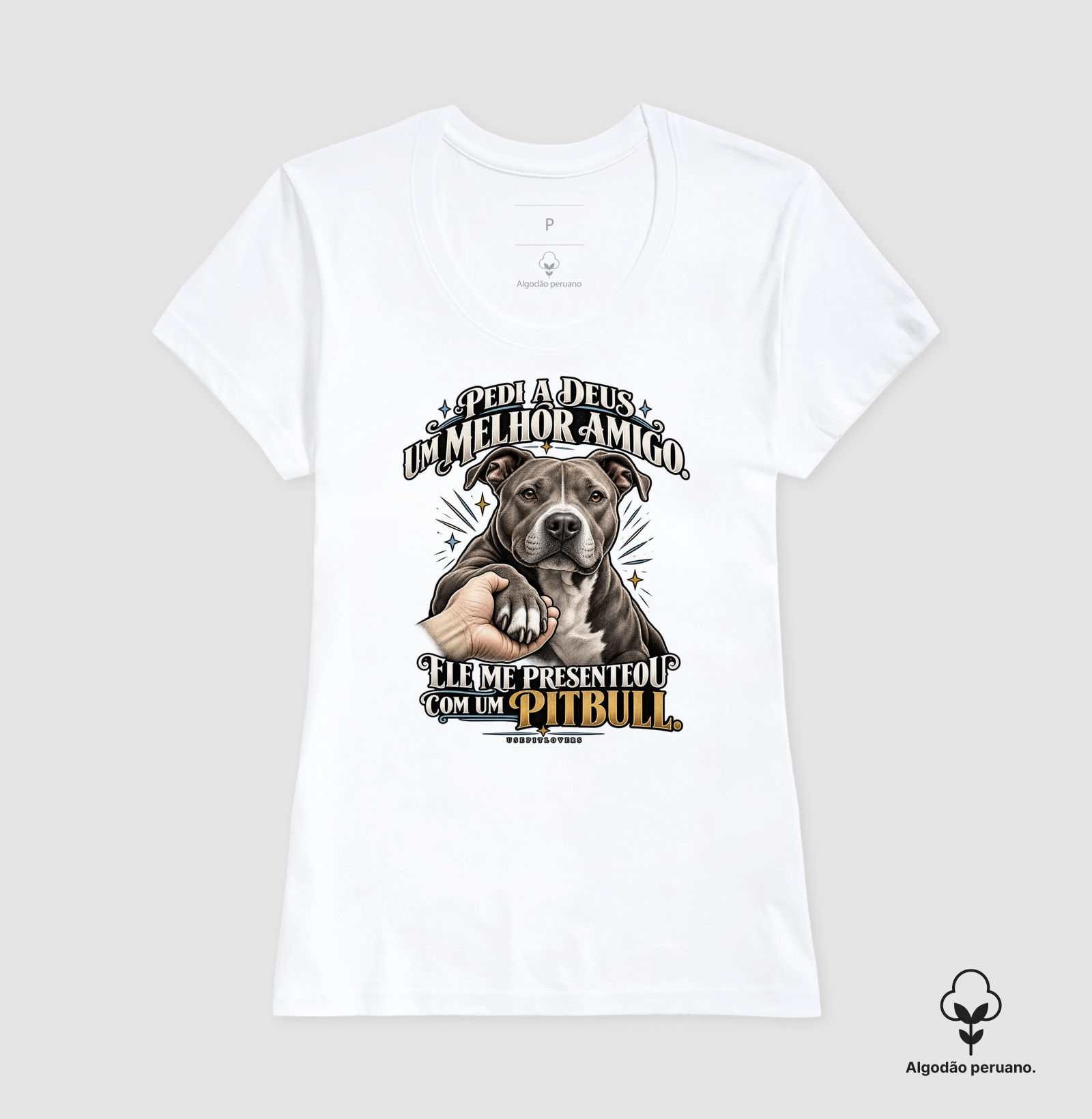 PEDI A DEUS UM MELHOR AMIGO E ELE ME PRESENTEOU COM UM PITBULL. - Imagem 3