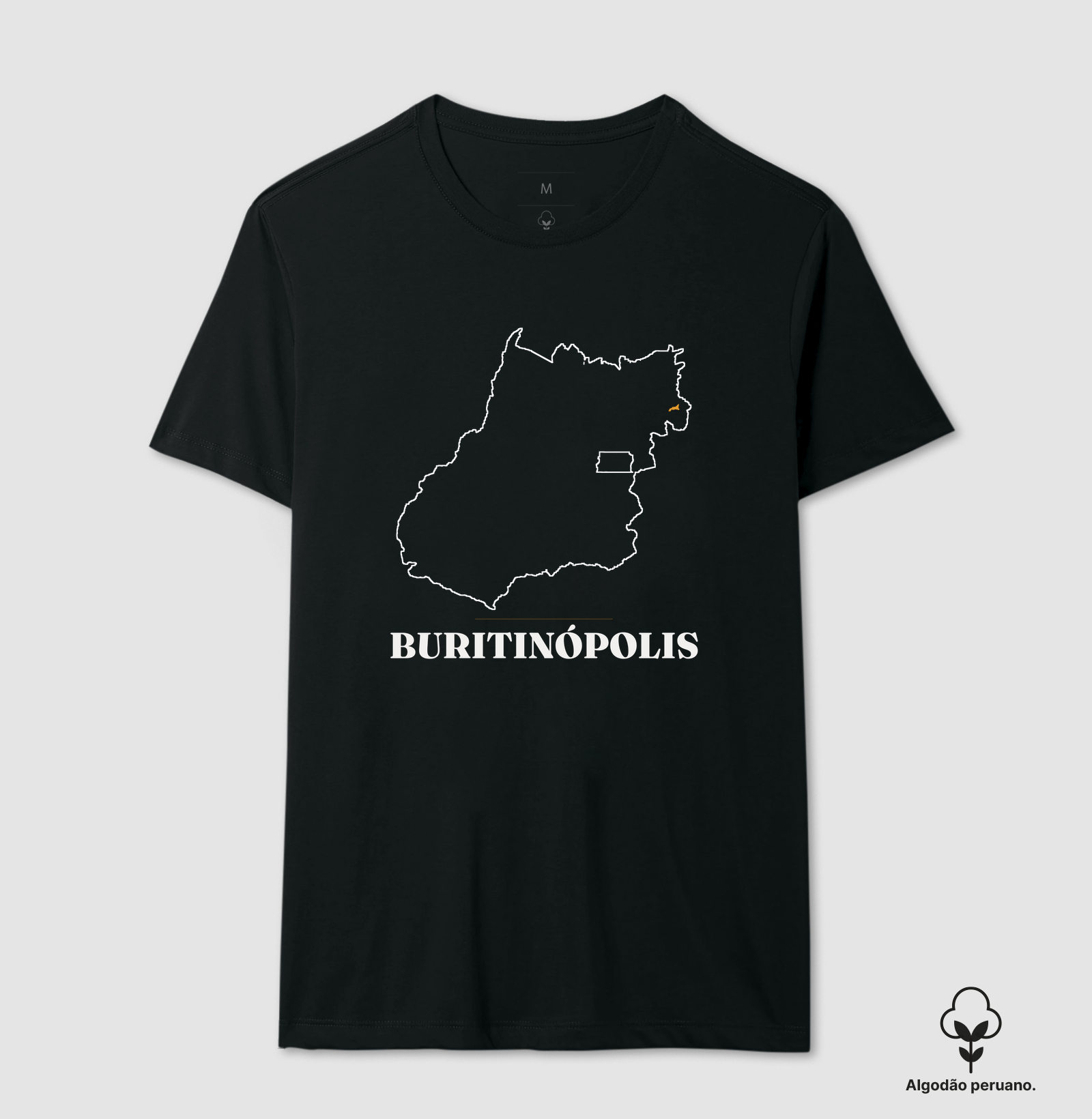 Buritinópolis | Traço GO - Imagem 2