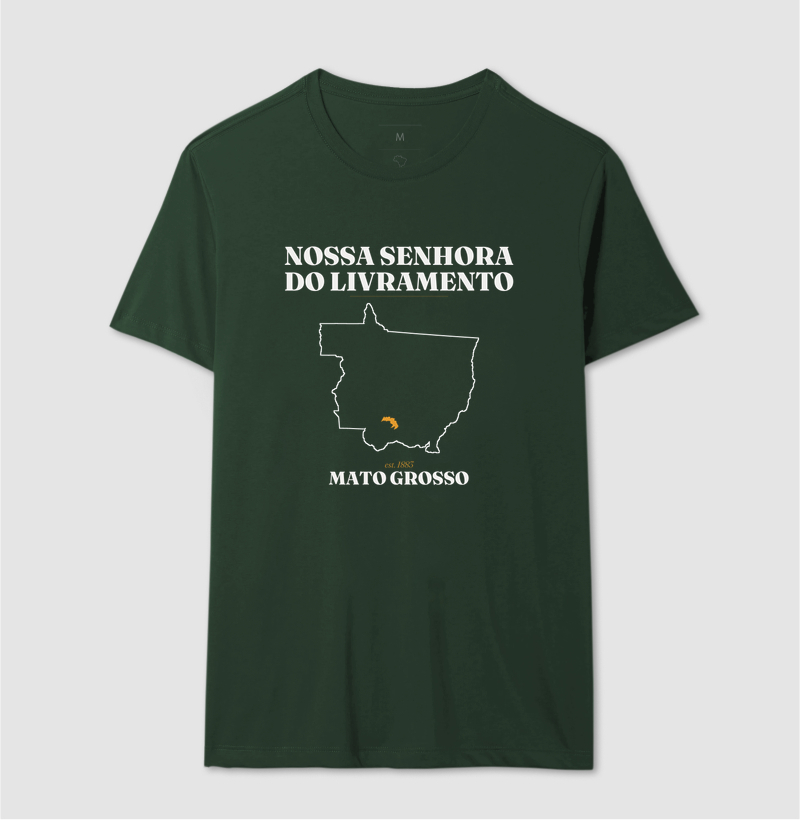 Nossa Senhora do Livramento | Legado MT - Imagem 12