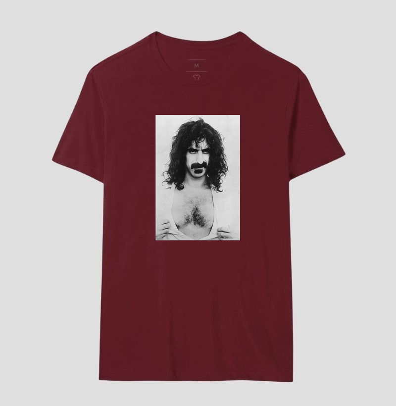 Frank Zappa Discreet, 1975 - Imagem 20