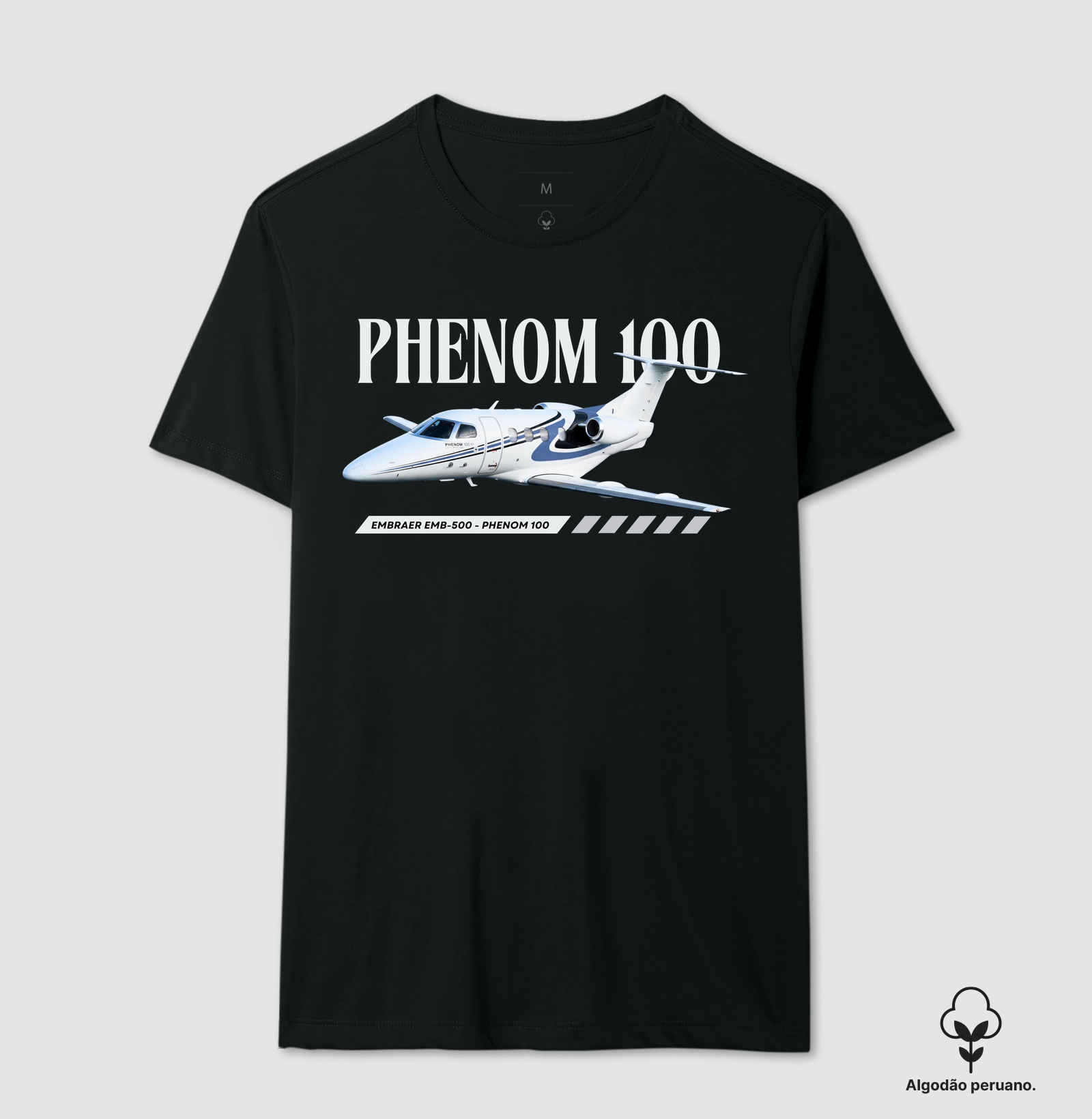 Embraer Phenom 100 - PR-PER - Imagem 2