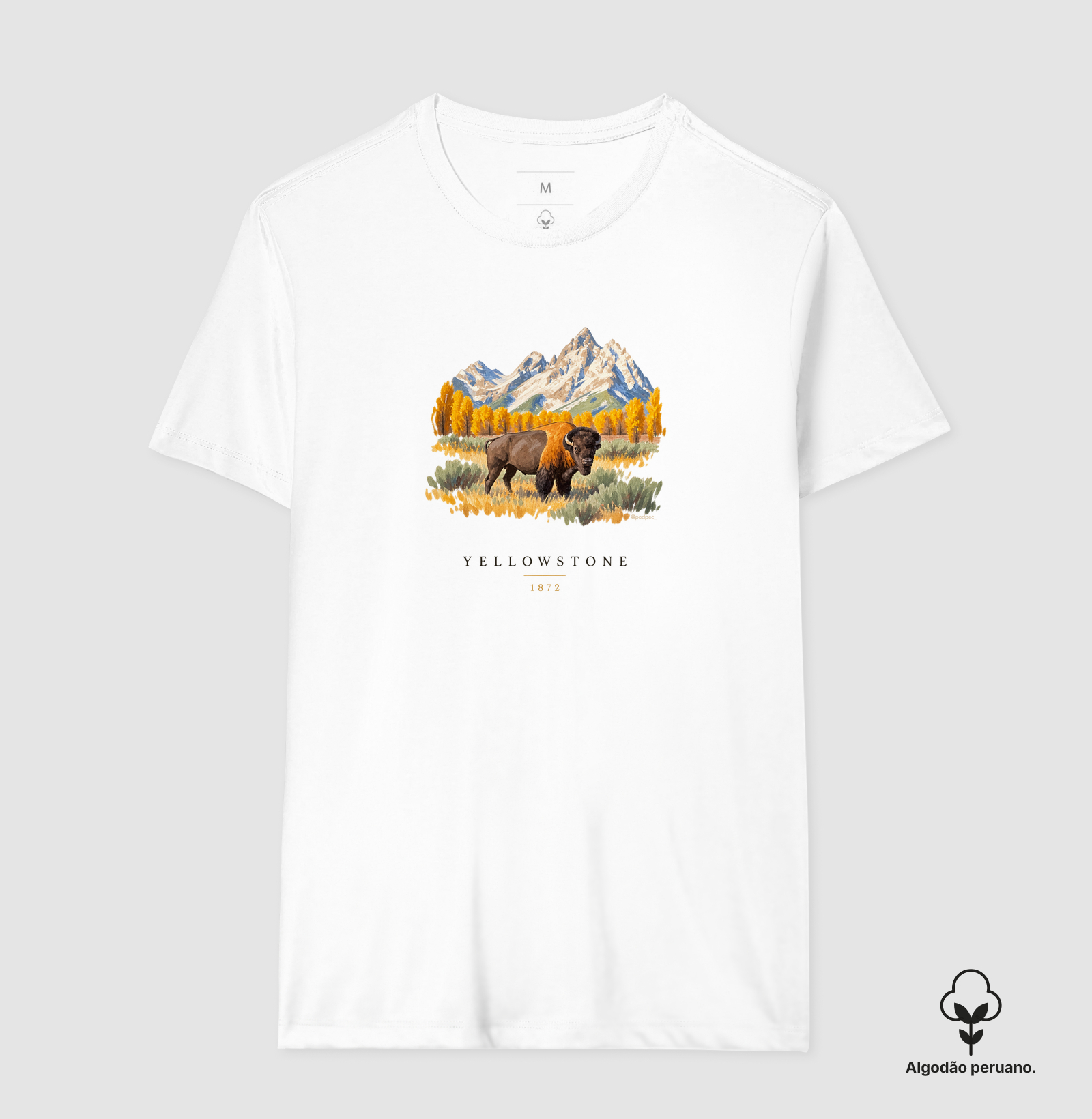 Bison - Yellowstone - Imagem 7