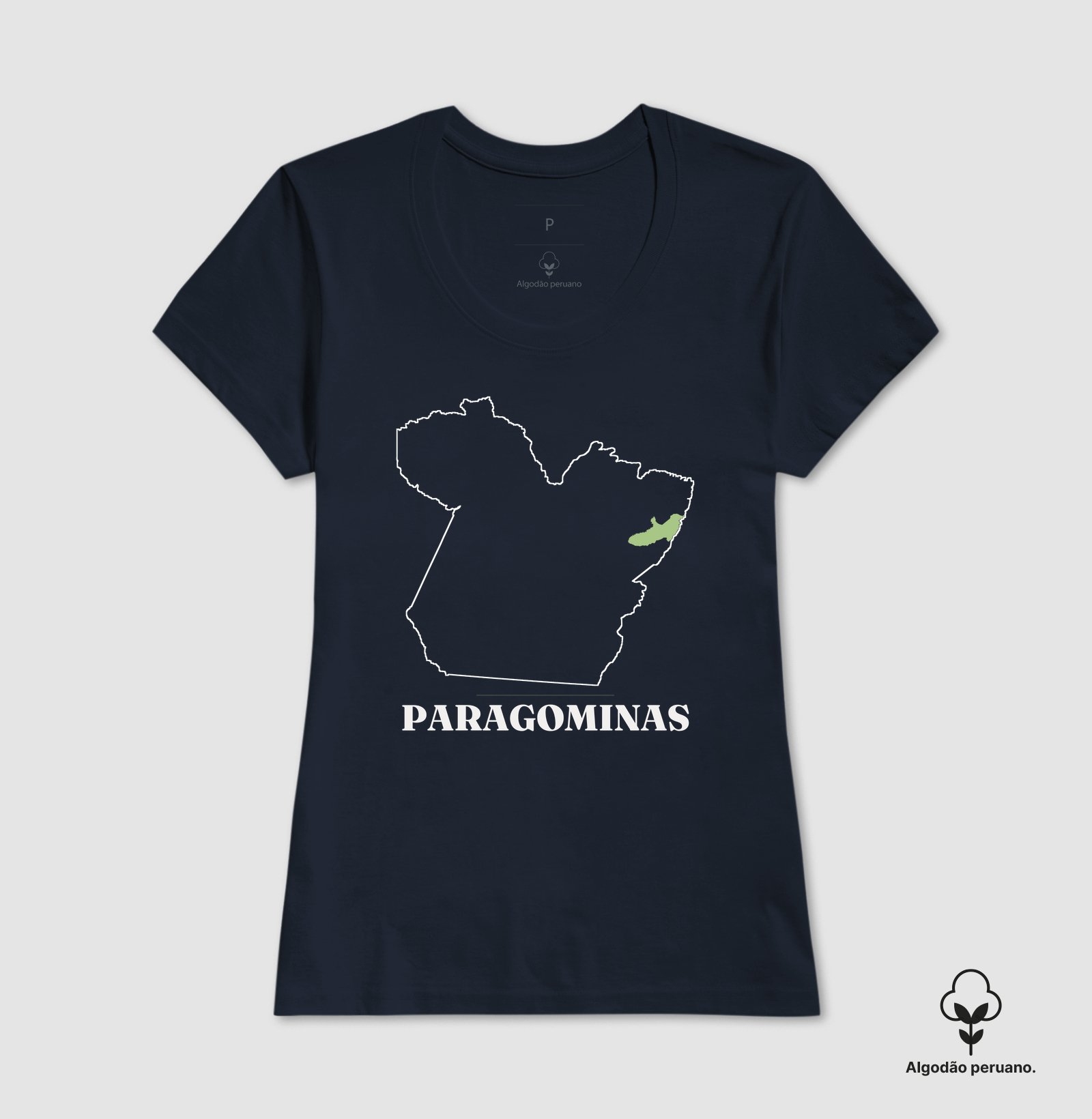 Paragominas | Traço PA - Imagem 8