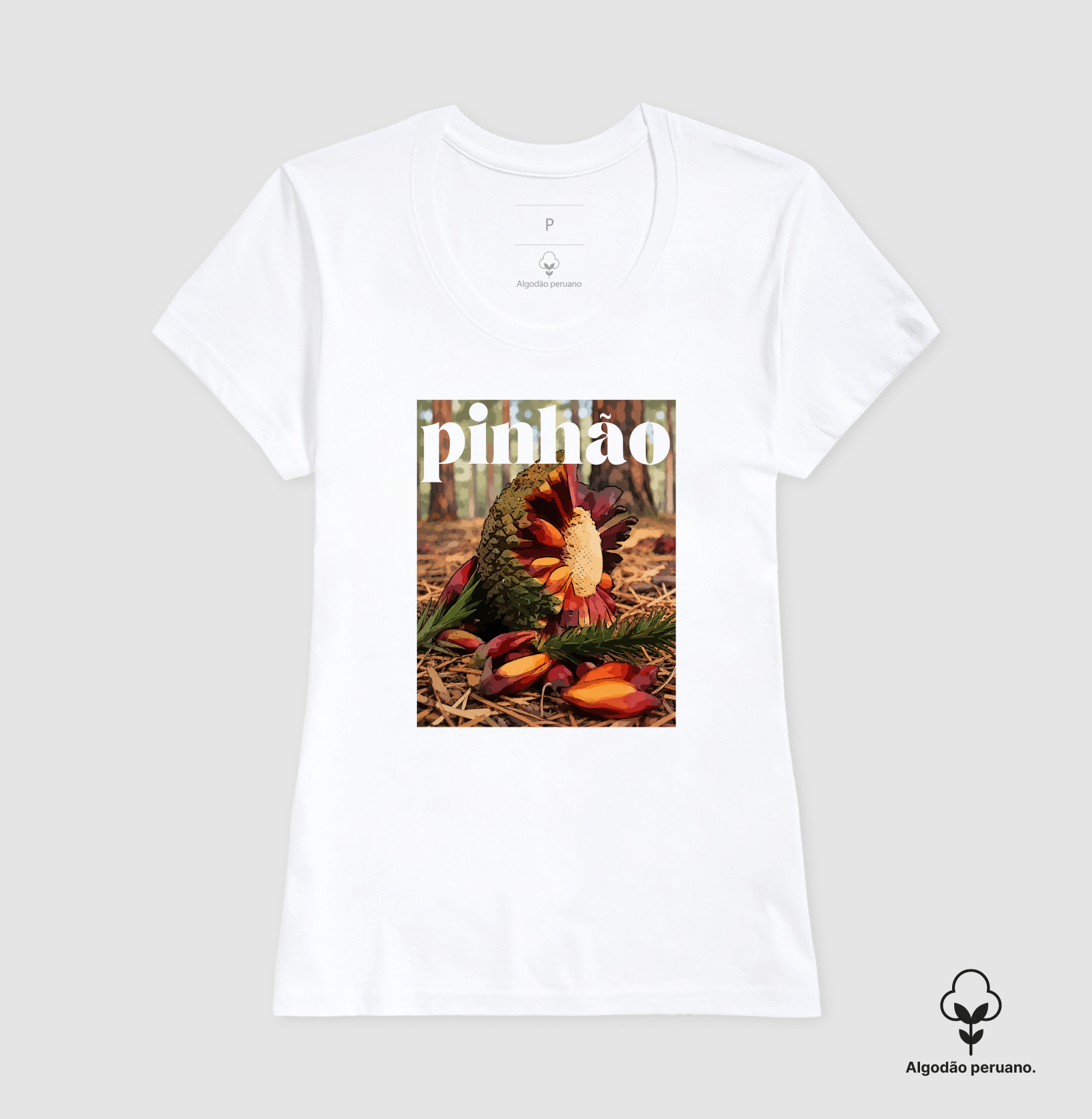 Pinhão - Imagem 9