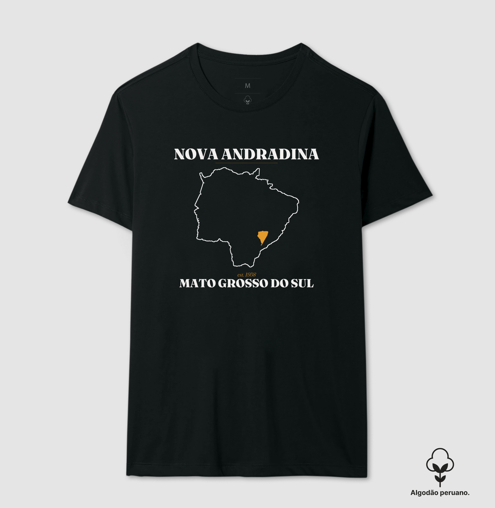 Nova Andradina | Legado MS - Imagem 3