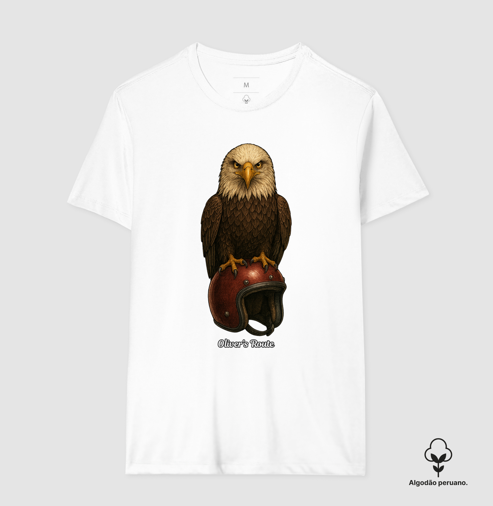 The Eagle and the Helmet - Imagem 2