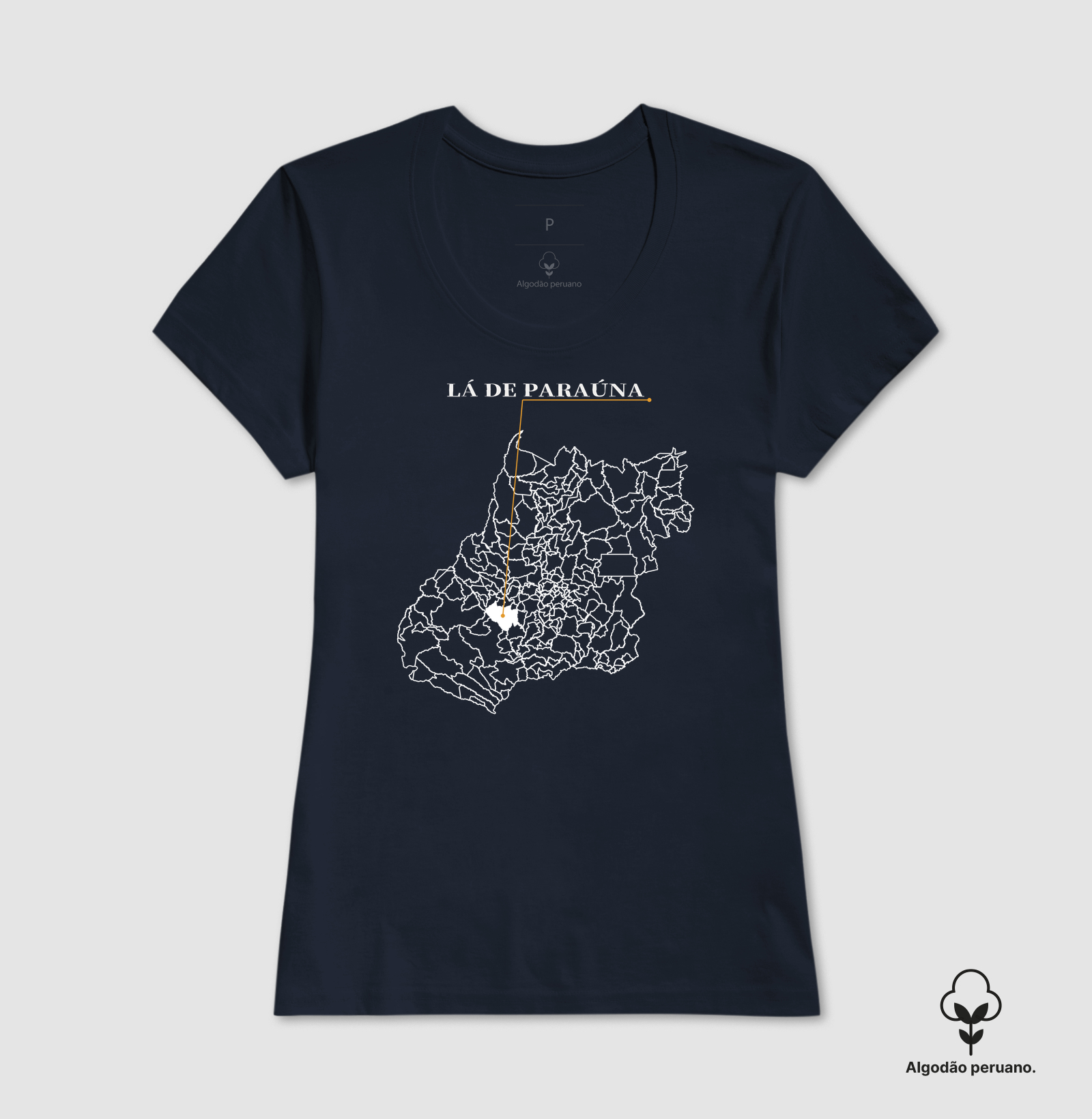 Paraúna | Origem GO - Imagem 8