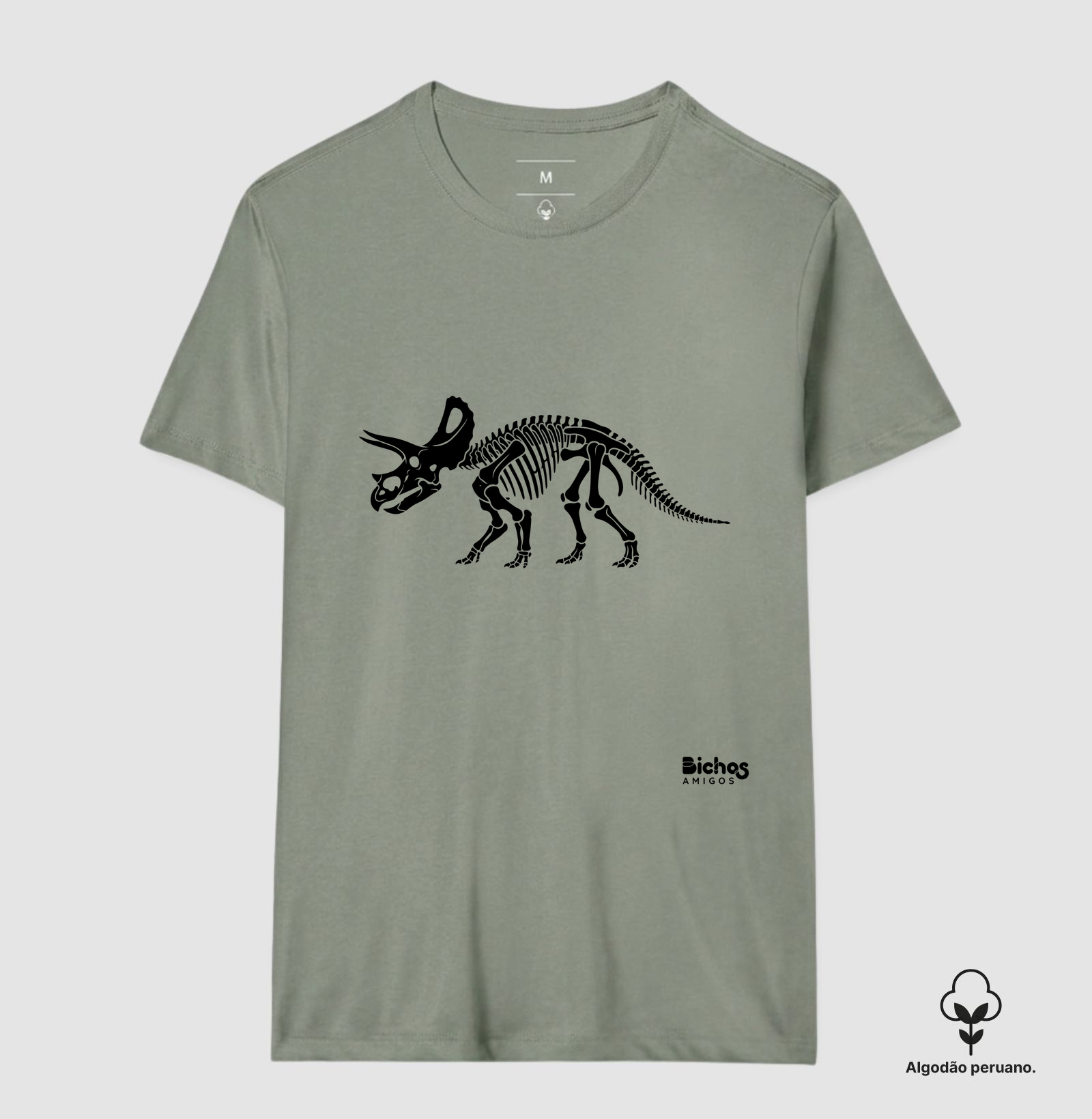 Triceratops - Imagem 3