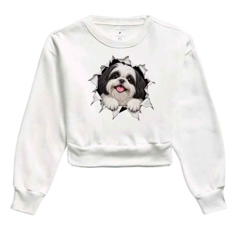 Shih Tzu Saindo da Camisa - Imagem 3