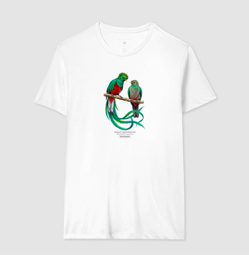 Traços Alados - Quetzal-resplandescente - Imagem 6
