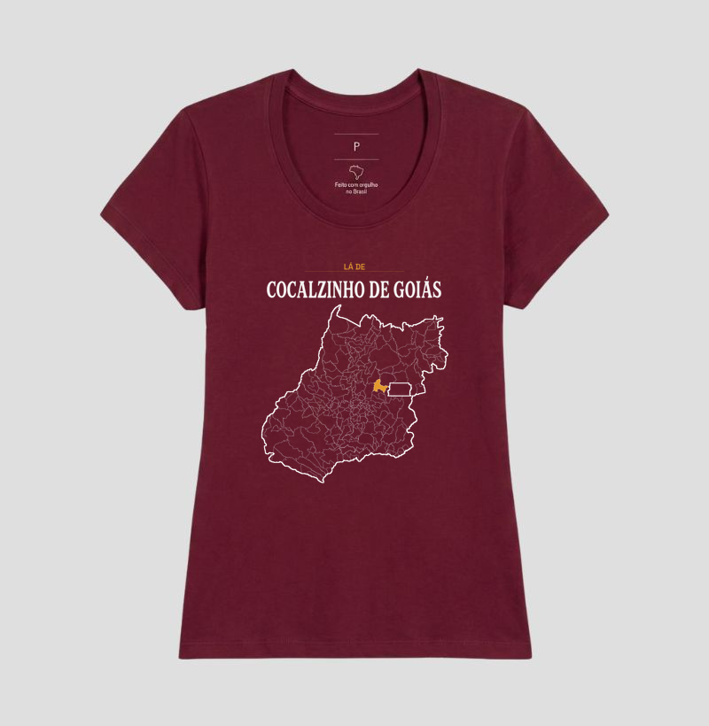 Cocalzinho de Goiás | Território GO - Imagem 19