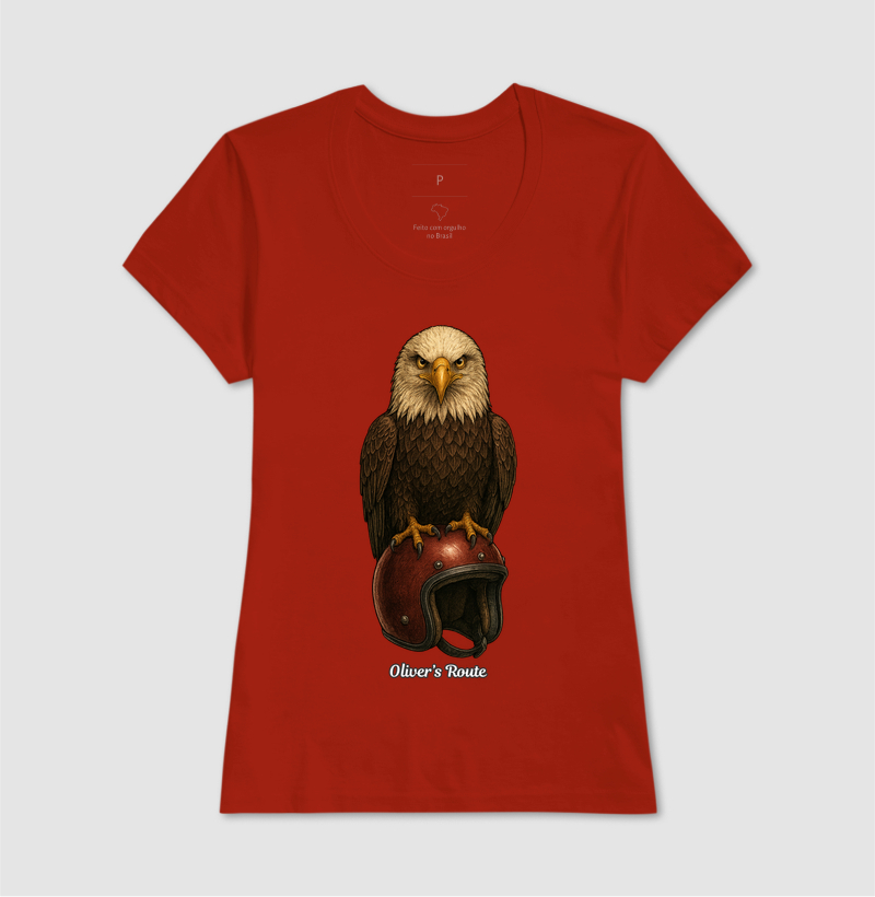 The Eagle and the Helmet - Imagem 11