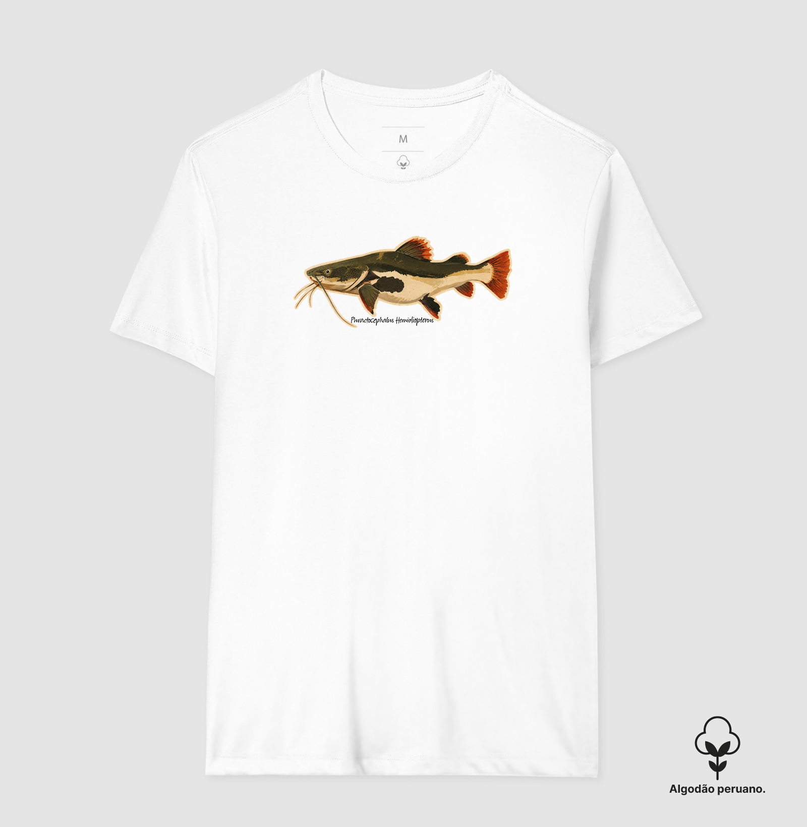 Pirarara 🐟 - Imagem 4