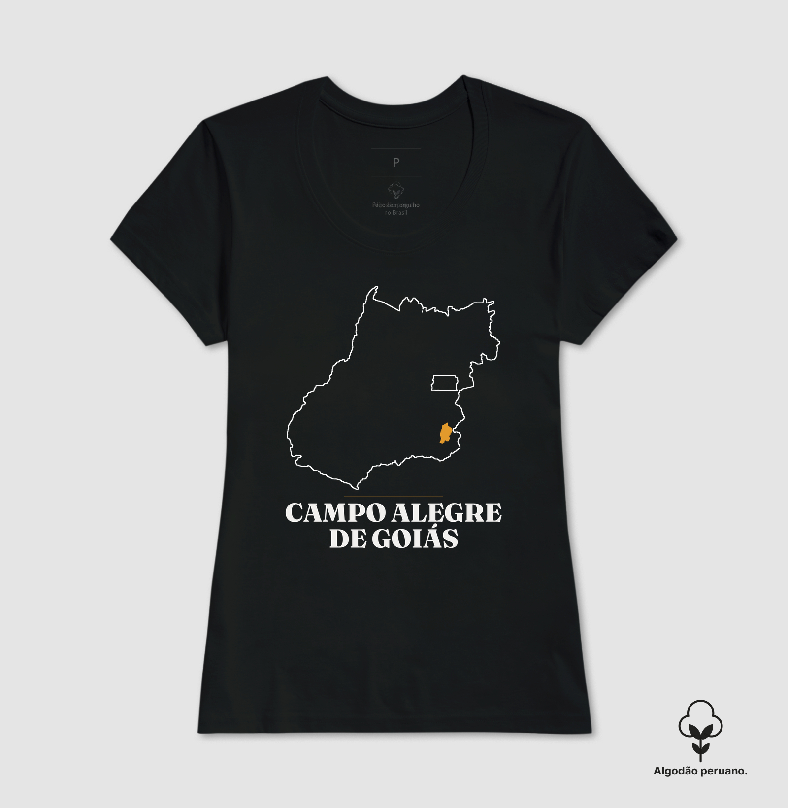Campo Alegre de Goiás | Traço GO - Imagem 3