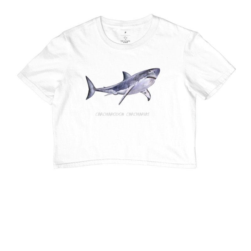 Carcharodon carcharias - Imagem 6