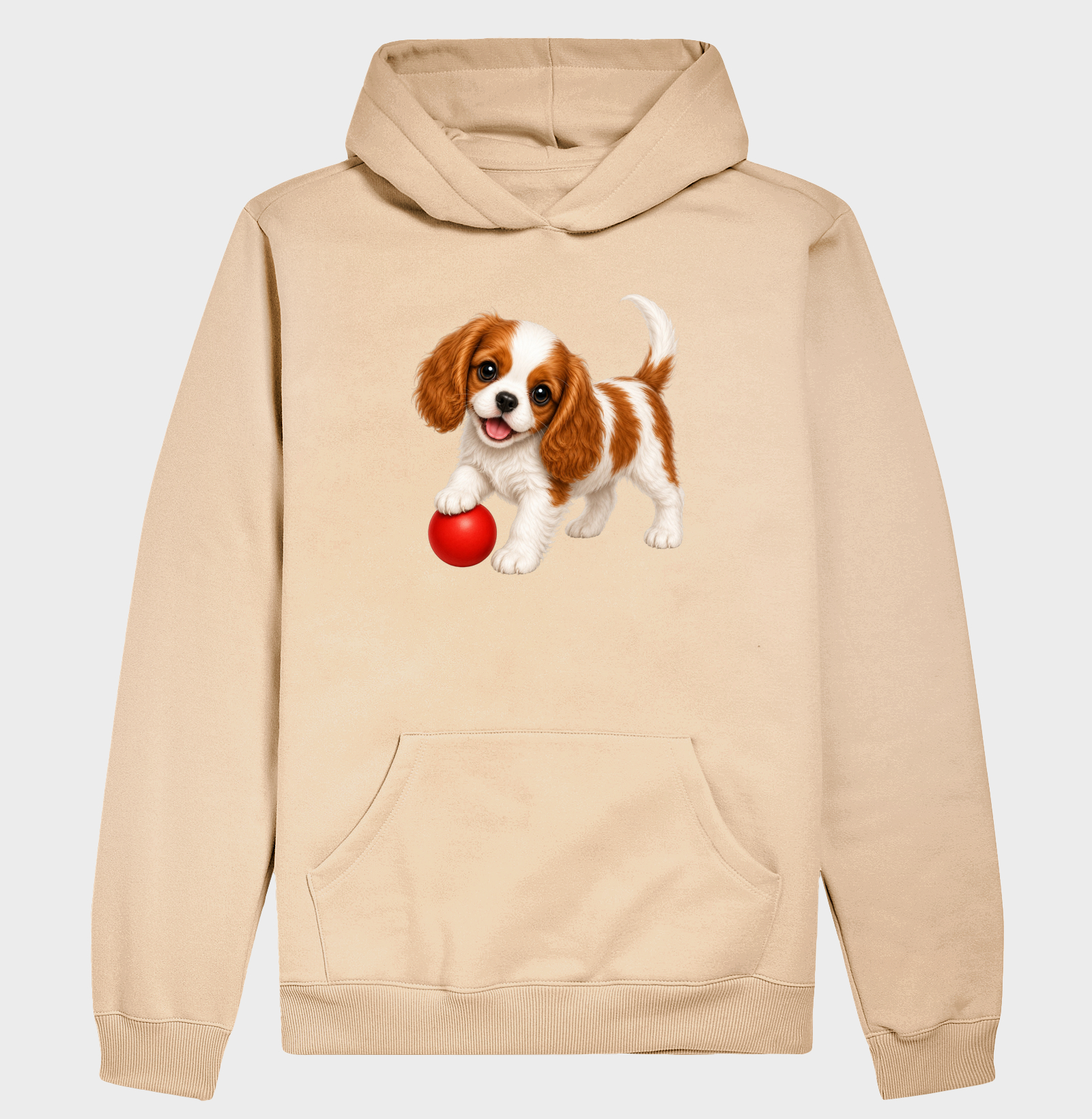 Cavalier King - Desenho Animado - Imagem 5