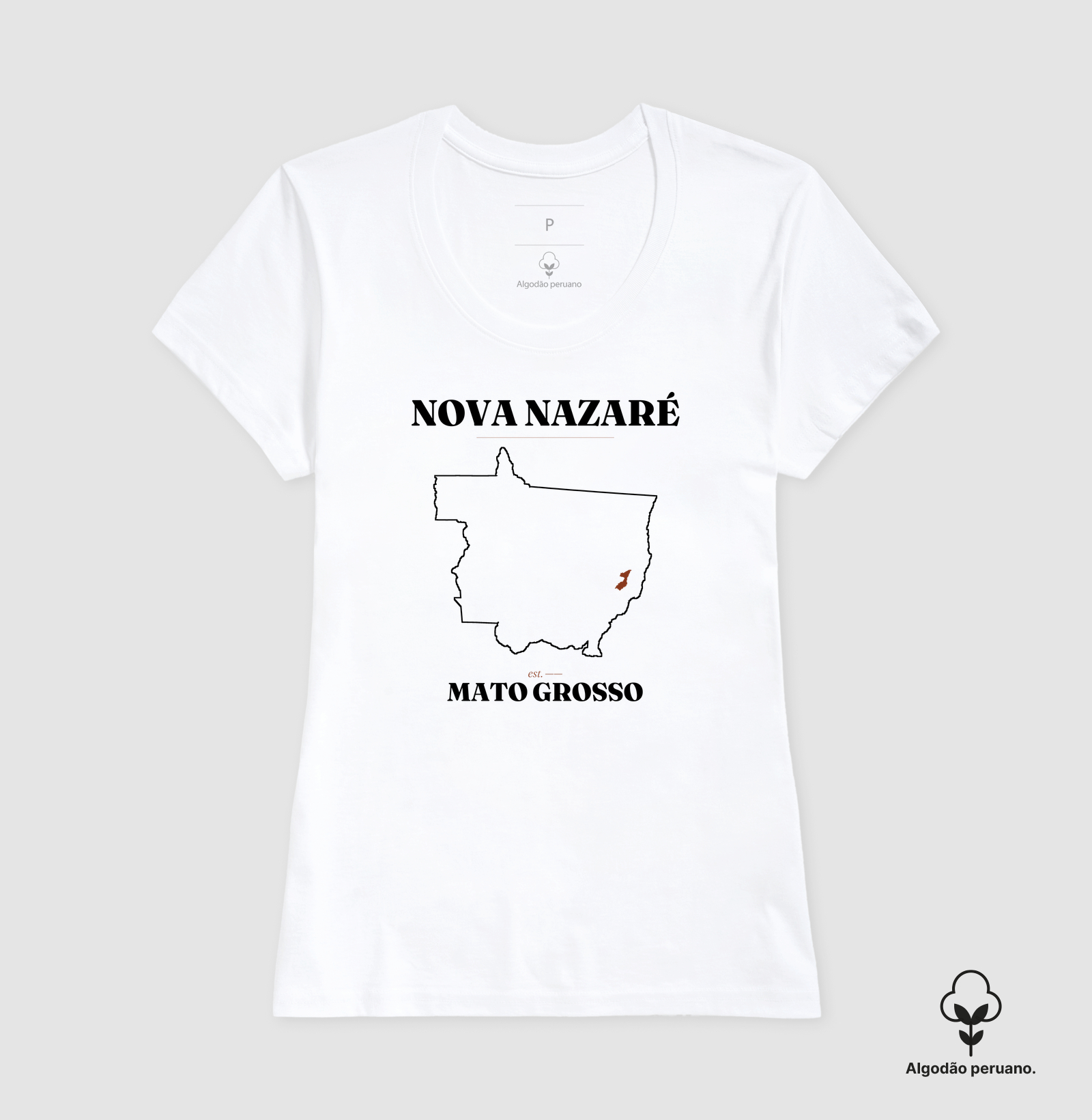 Nova Nazaré | Legado MT - Imagem 6