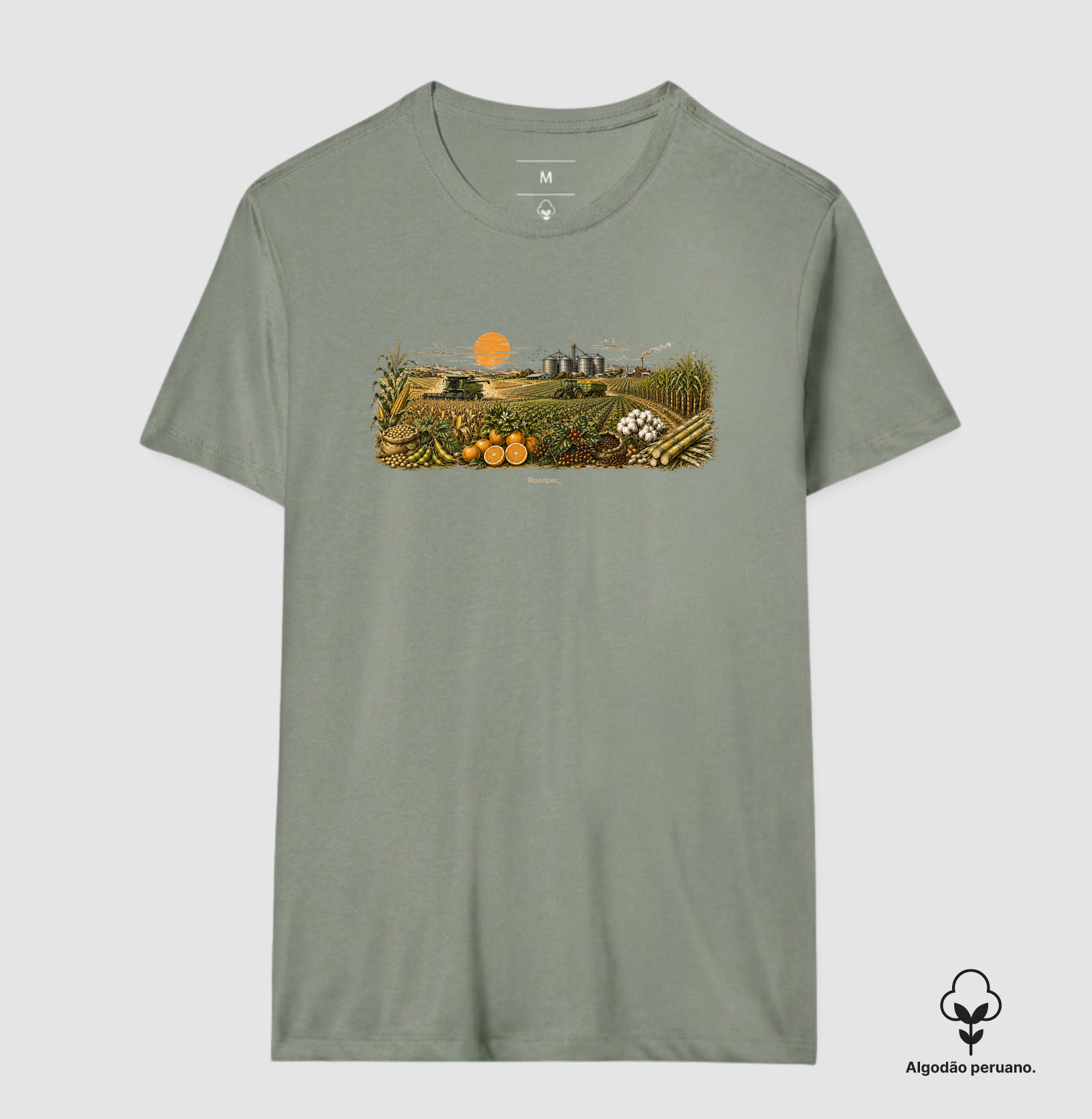 Camisa 6