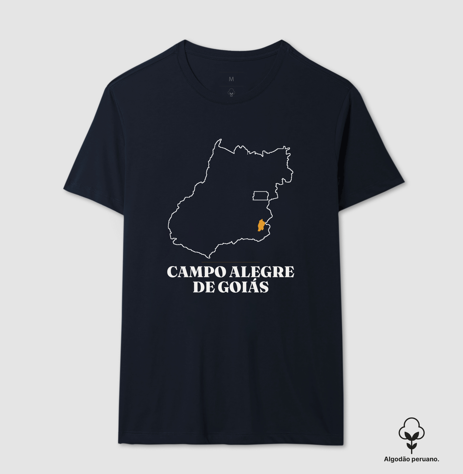 Campo Alegre de Goiás | Traço GO - Imagem 4