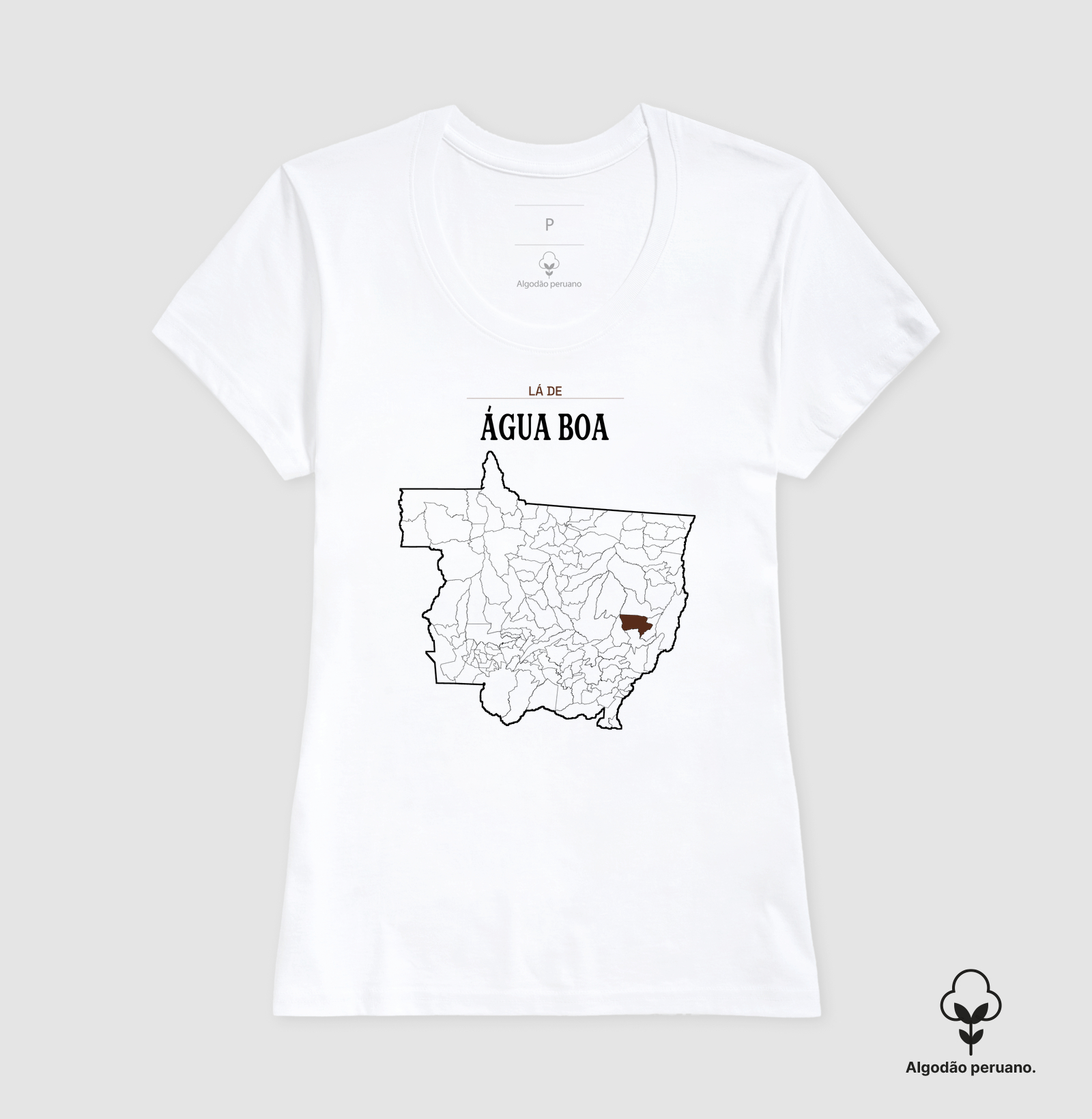 Água Boa | Território MT - Imagem 3