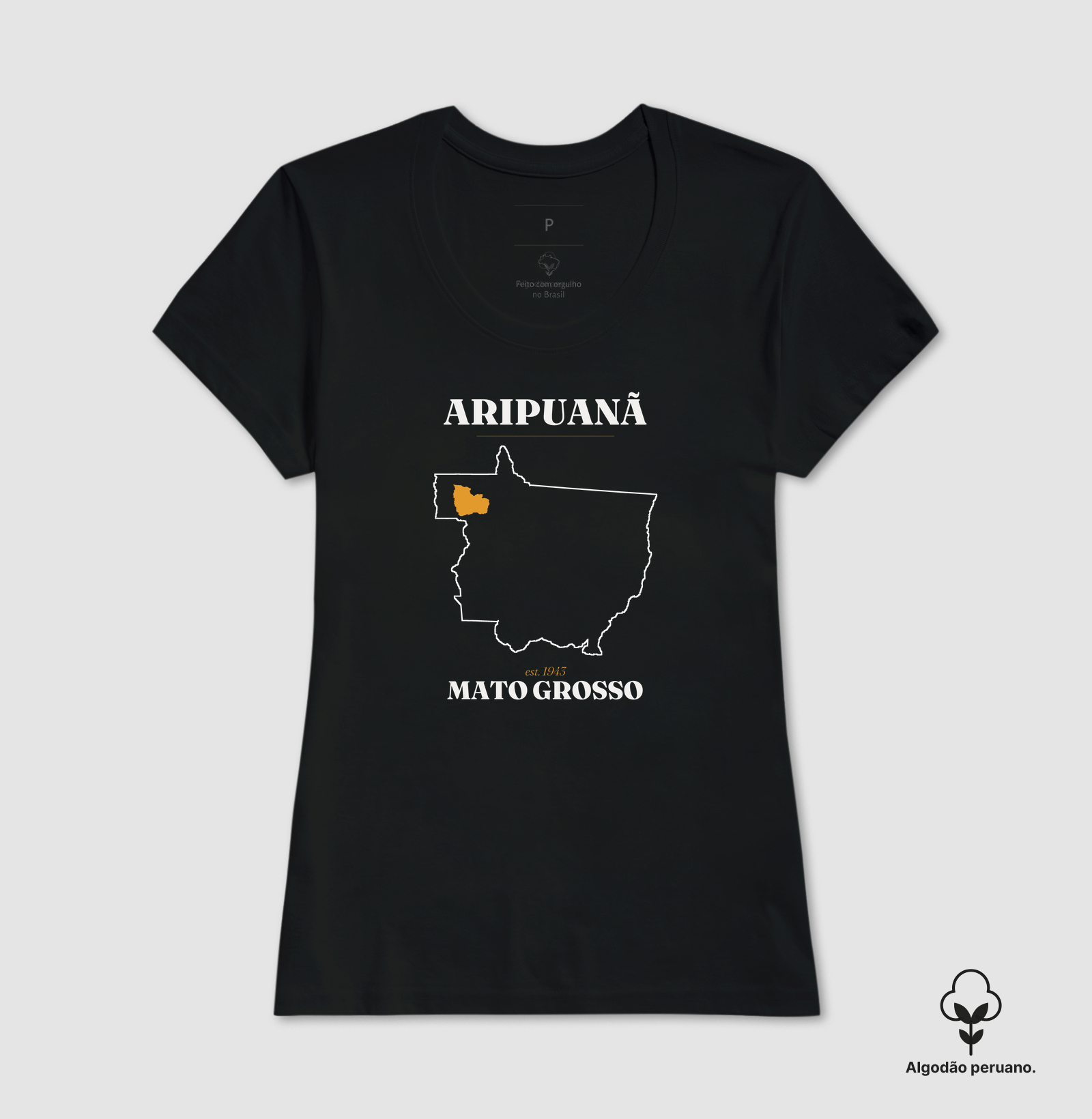 Aripuanã | Legado MT - Imagem 5