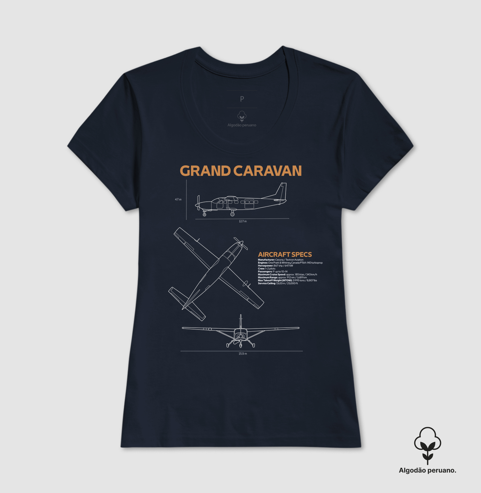 Grand Caravan | Blueprint - Imagem 5