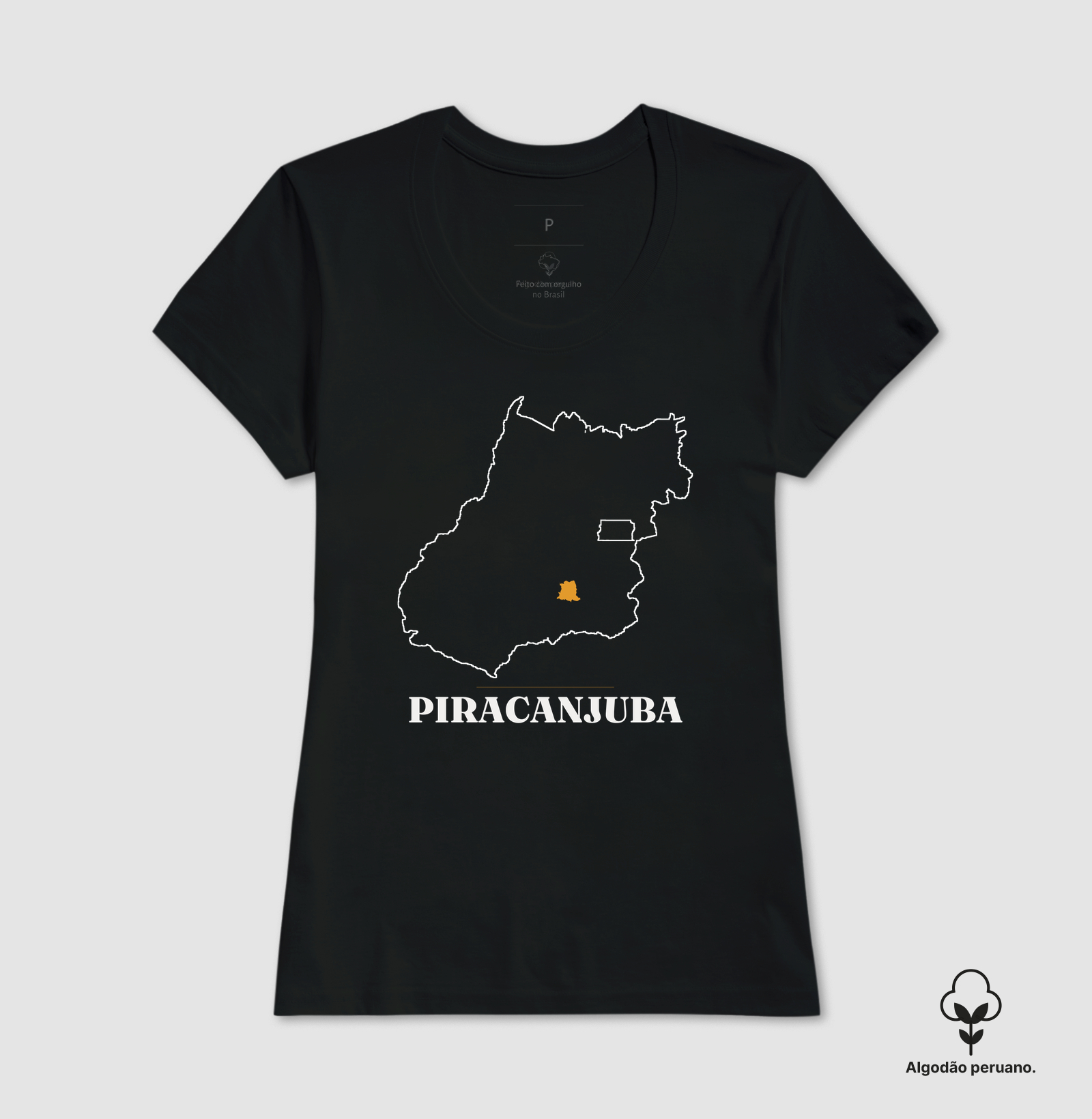 Piracanjuba | Traço GO - Imagem 4
