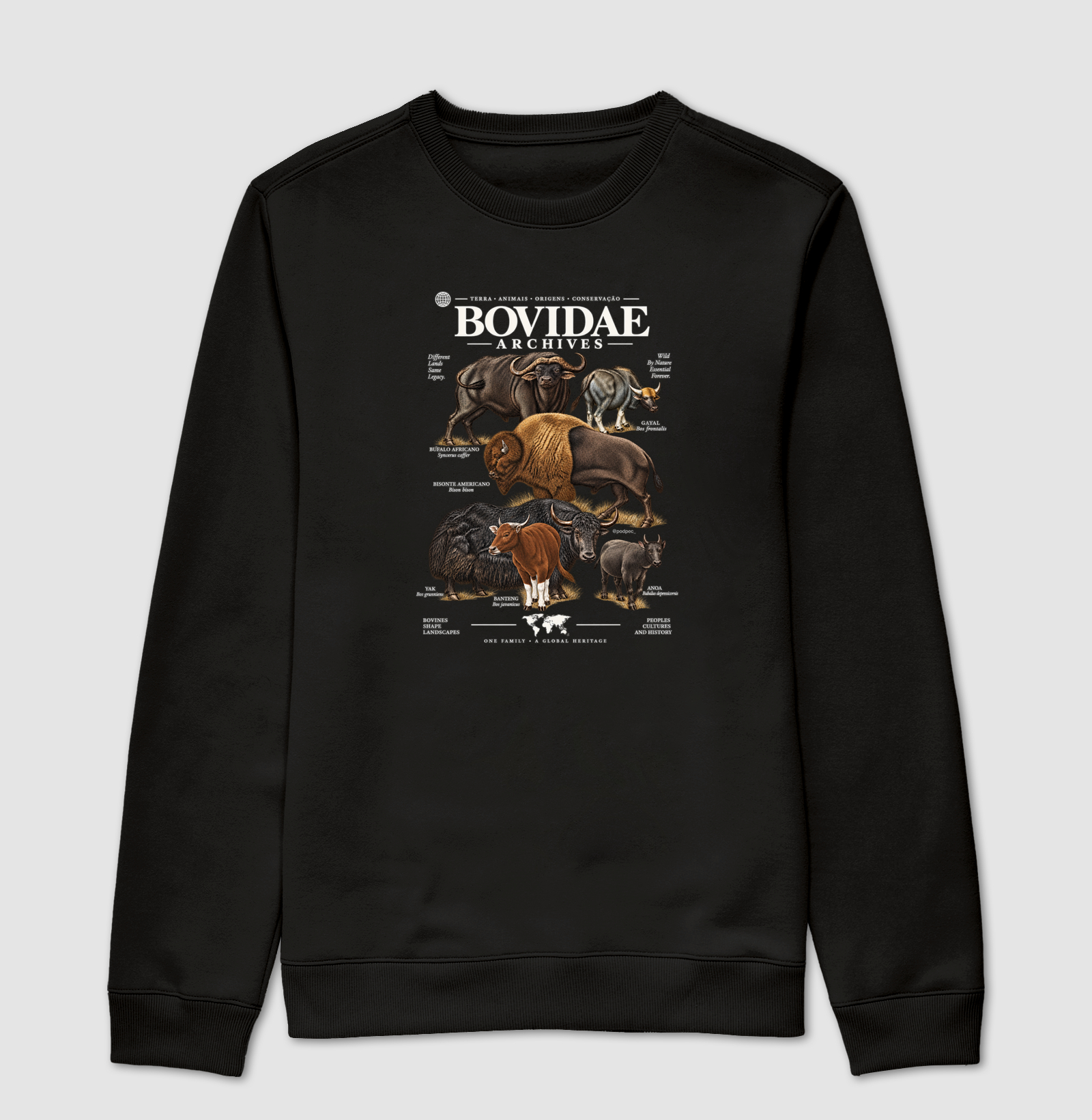Bovidae Archives - Imagem 4