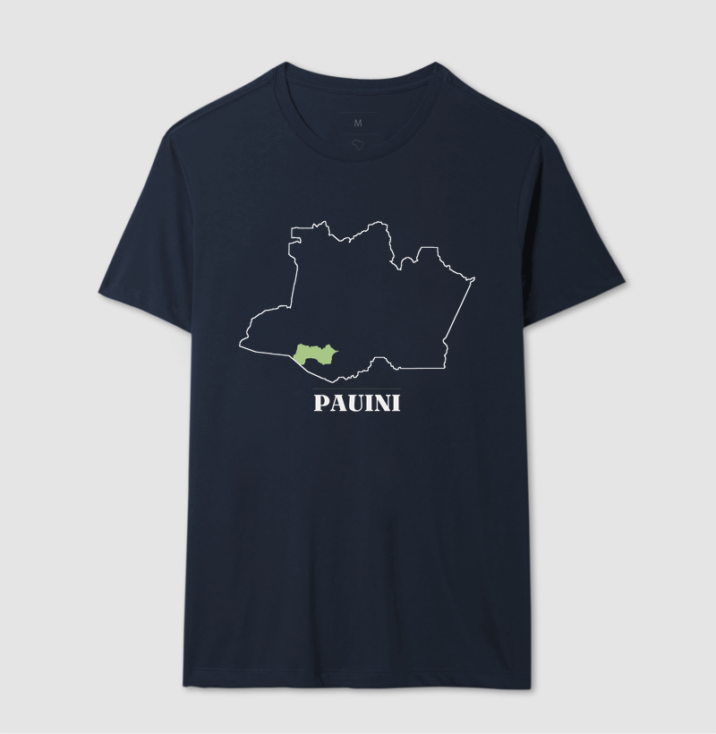Pauini | Traço AM - Imagem 6