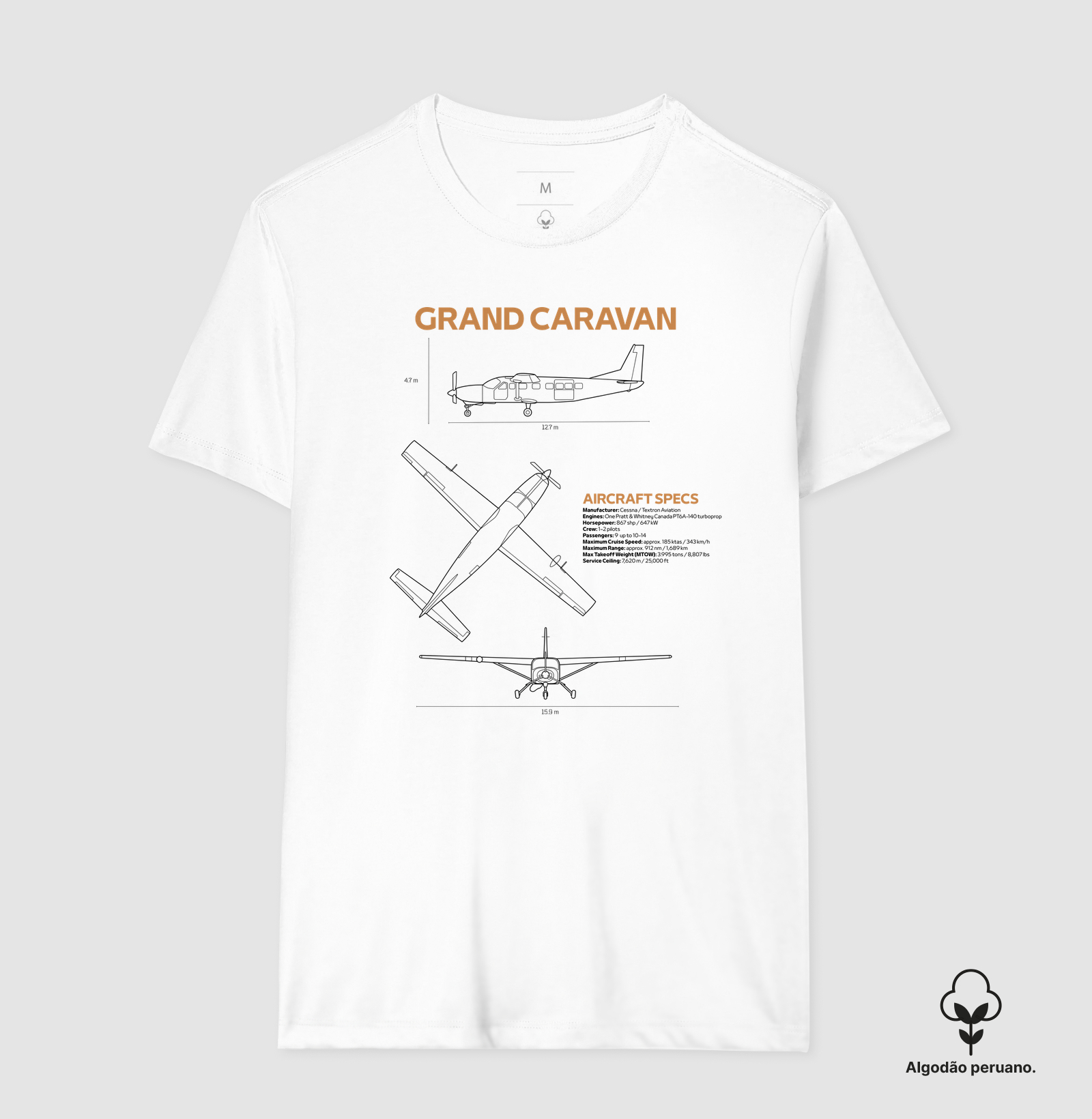 Grand Caravan | Blueprint - Imagem 3